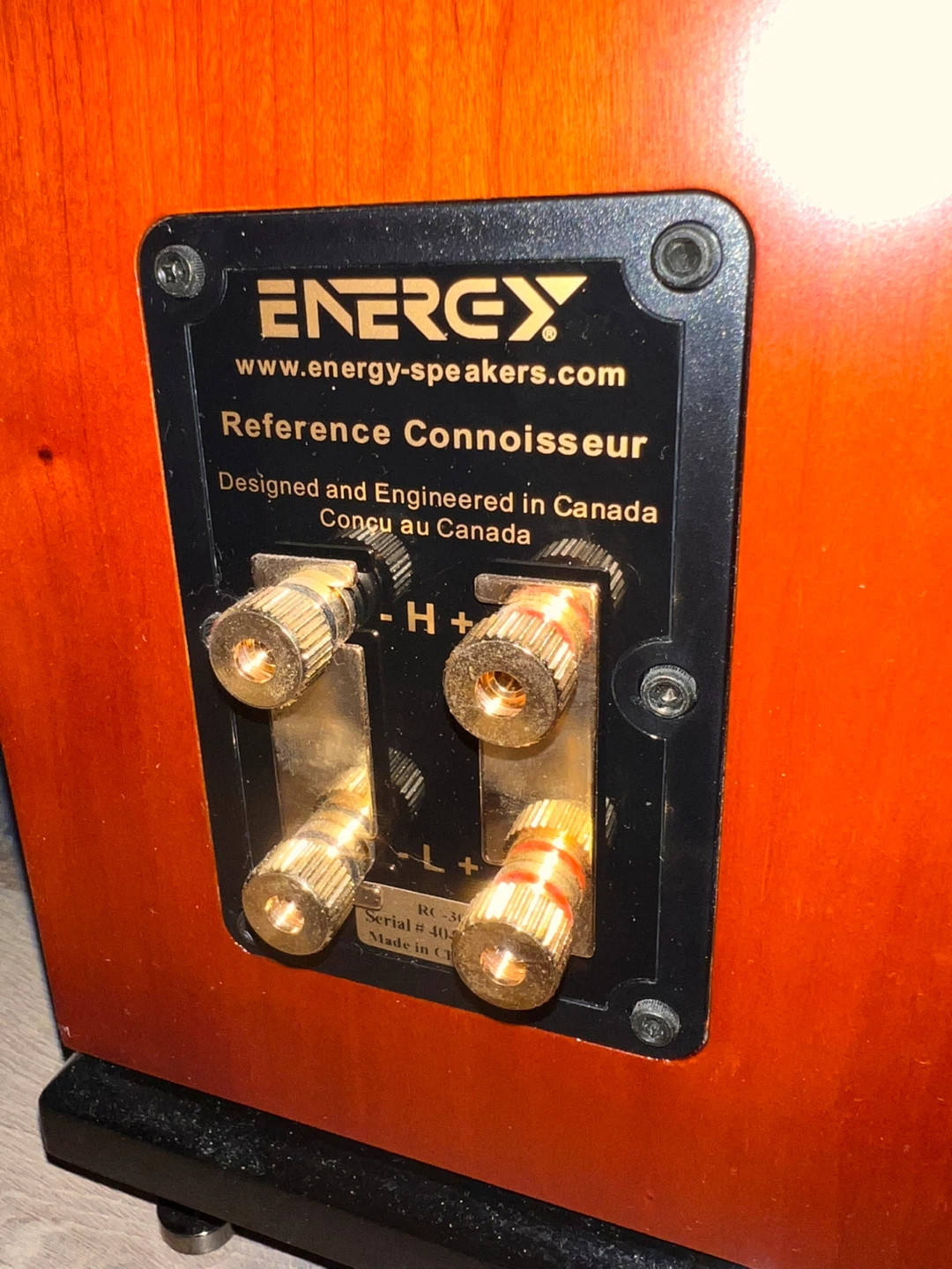 Energy Reference Connoisseur Floorstanding Speakers - photo 5