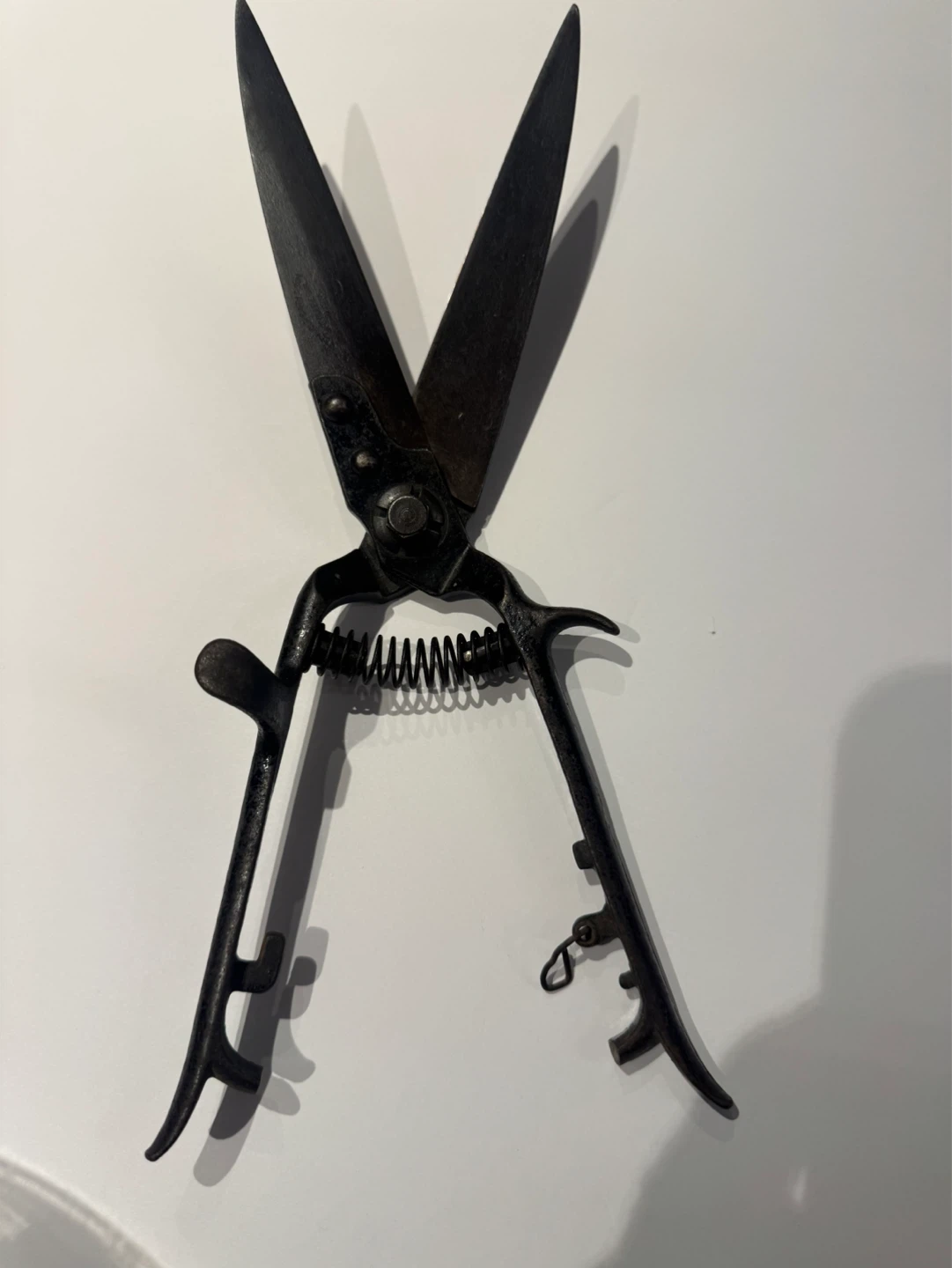 Seymour Smith & Son Garden Shears