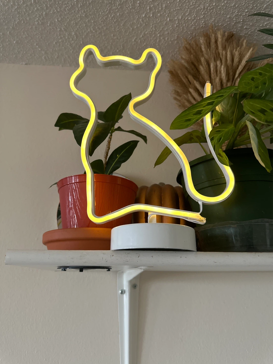 Neon Cat LED Light