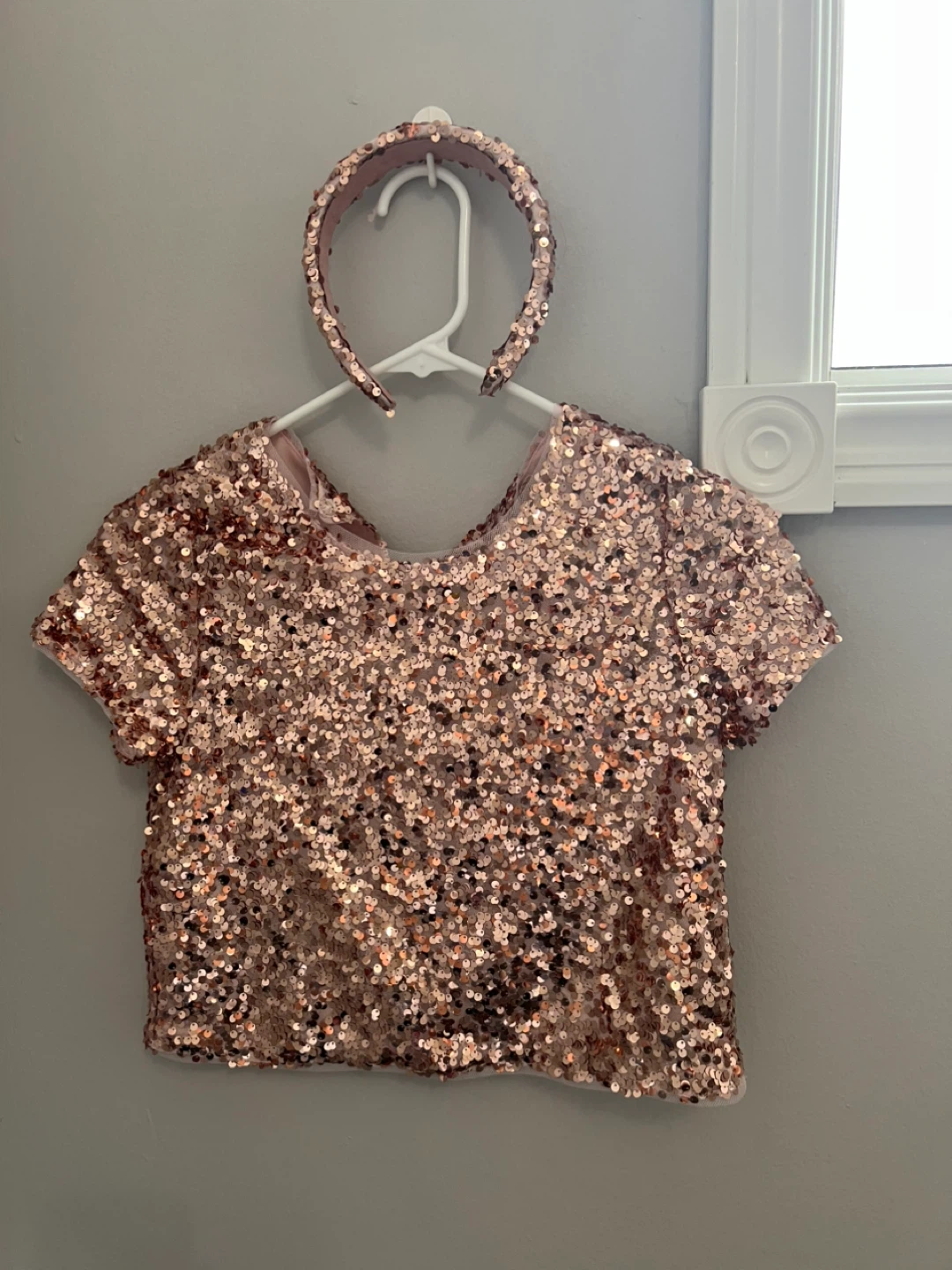 Girl's Sparkly Tulle Skirt and Sequin Top Set