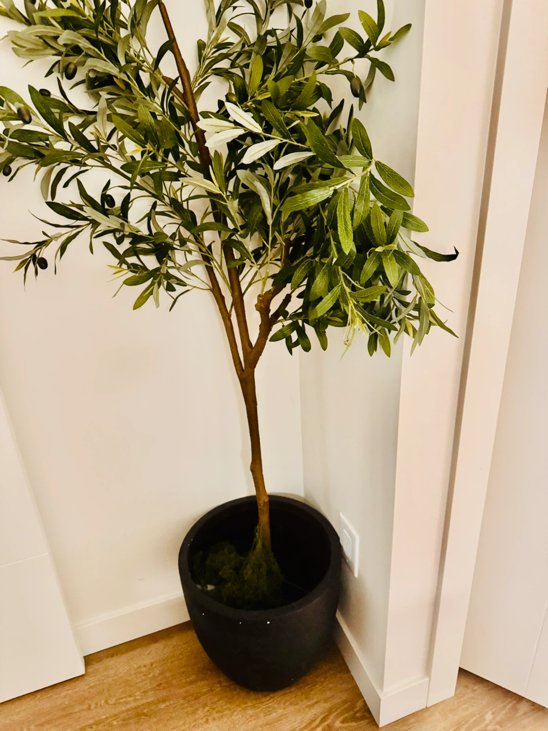 Artificial Olive Tree in Black Pot