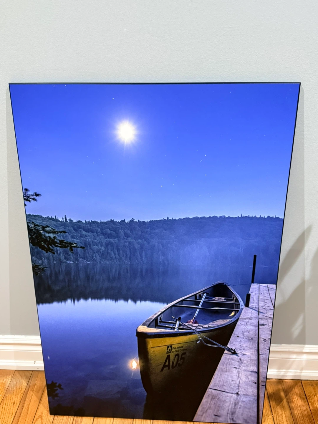Canvas Print