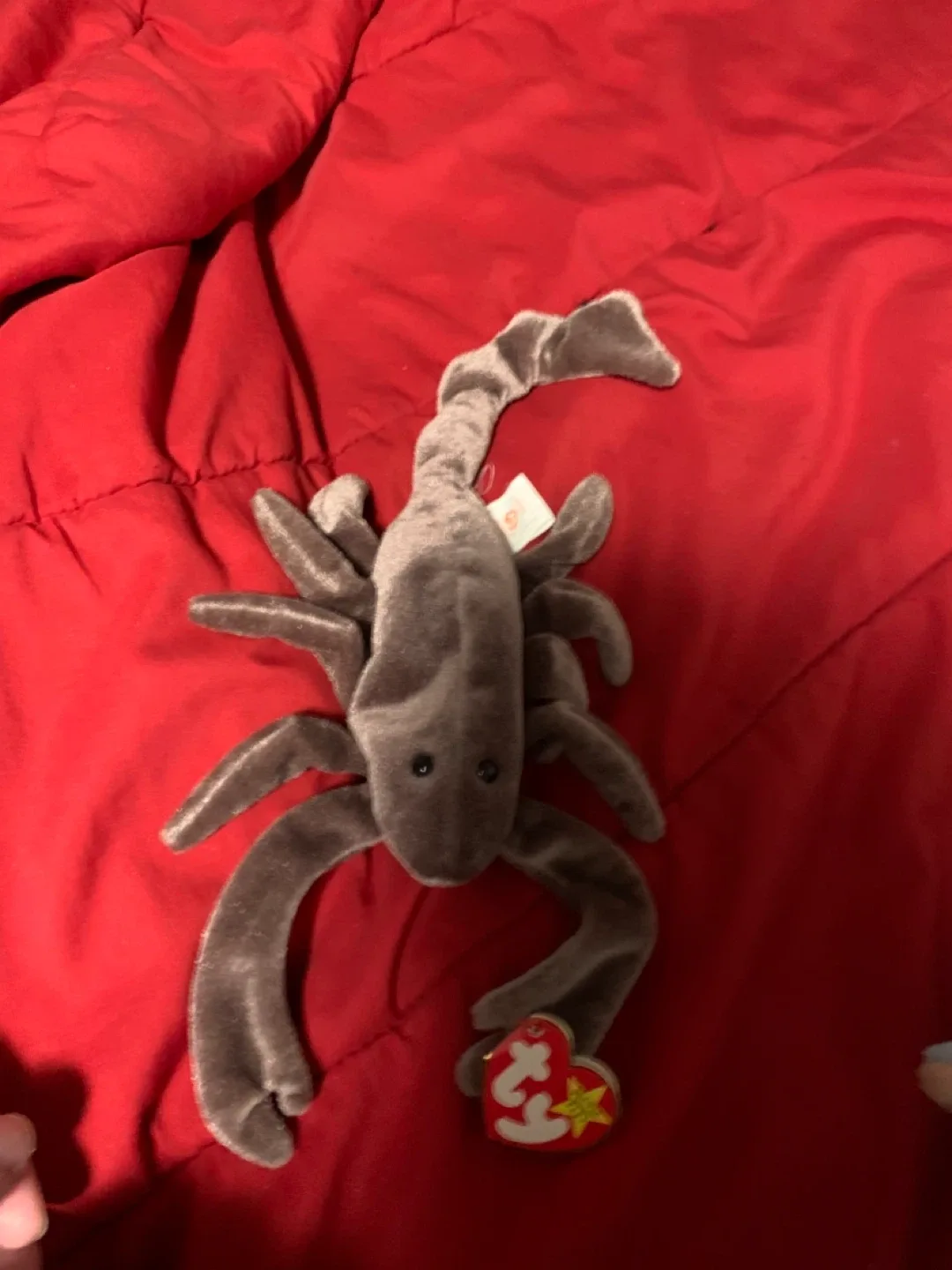 $10 each beanie babies - photo 2