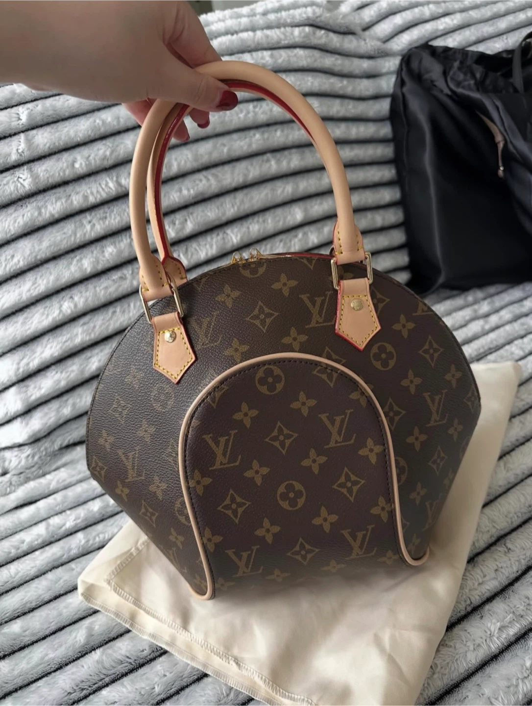 Louis Vuitton Monogram Ellipse PM handbag