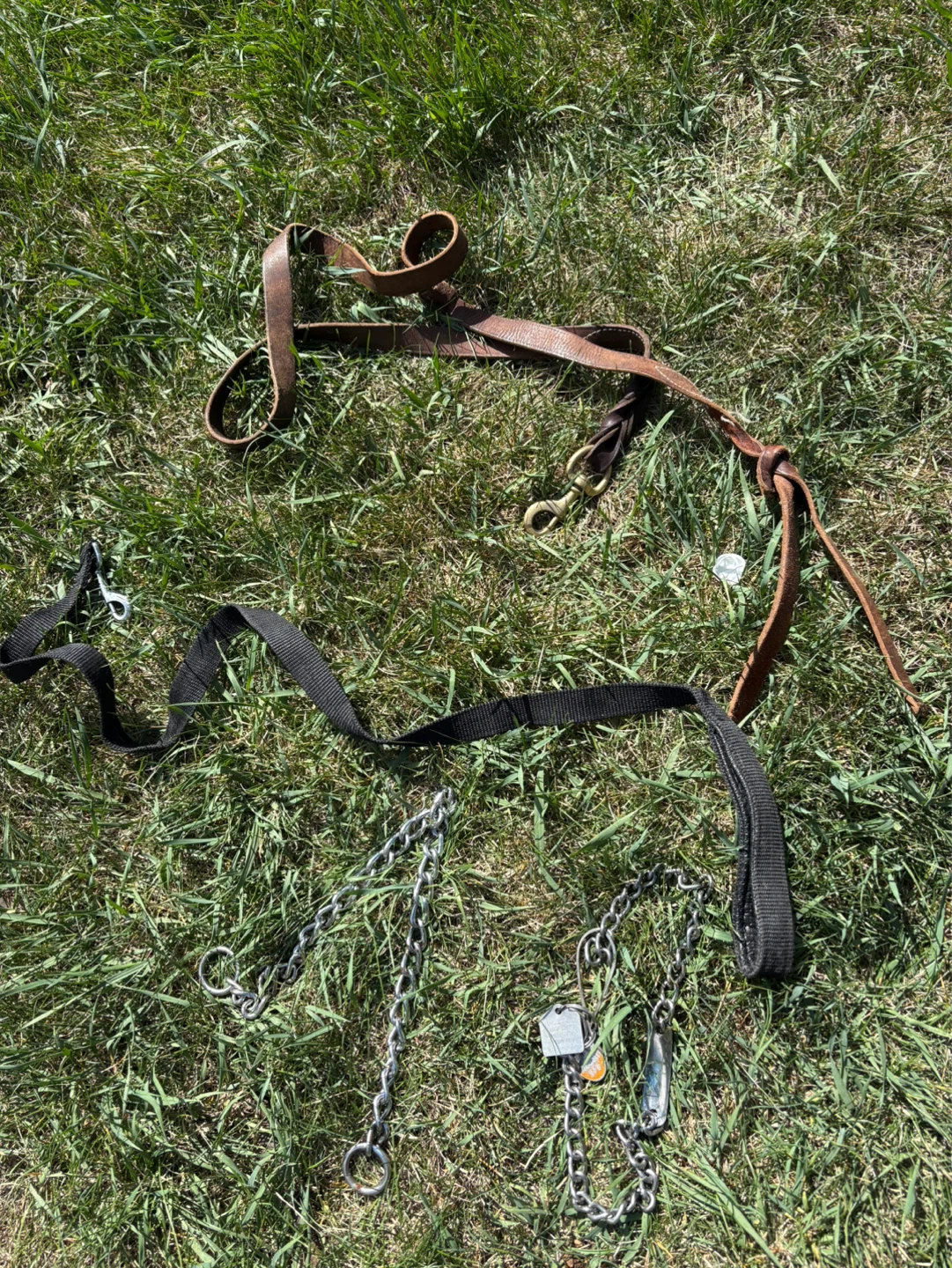 Leather and Chain Dog Leash Set