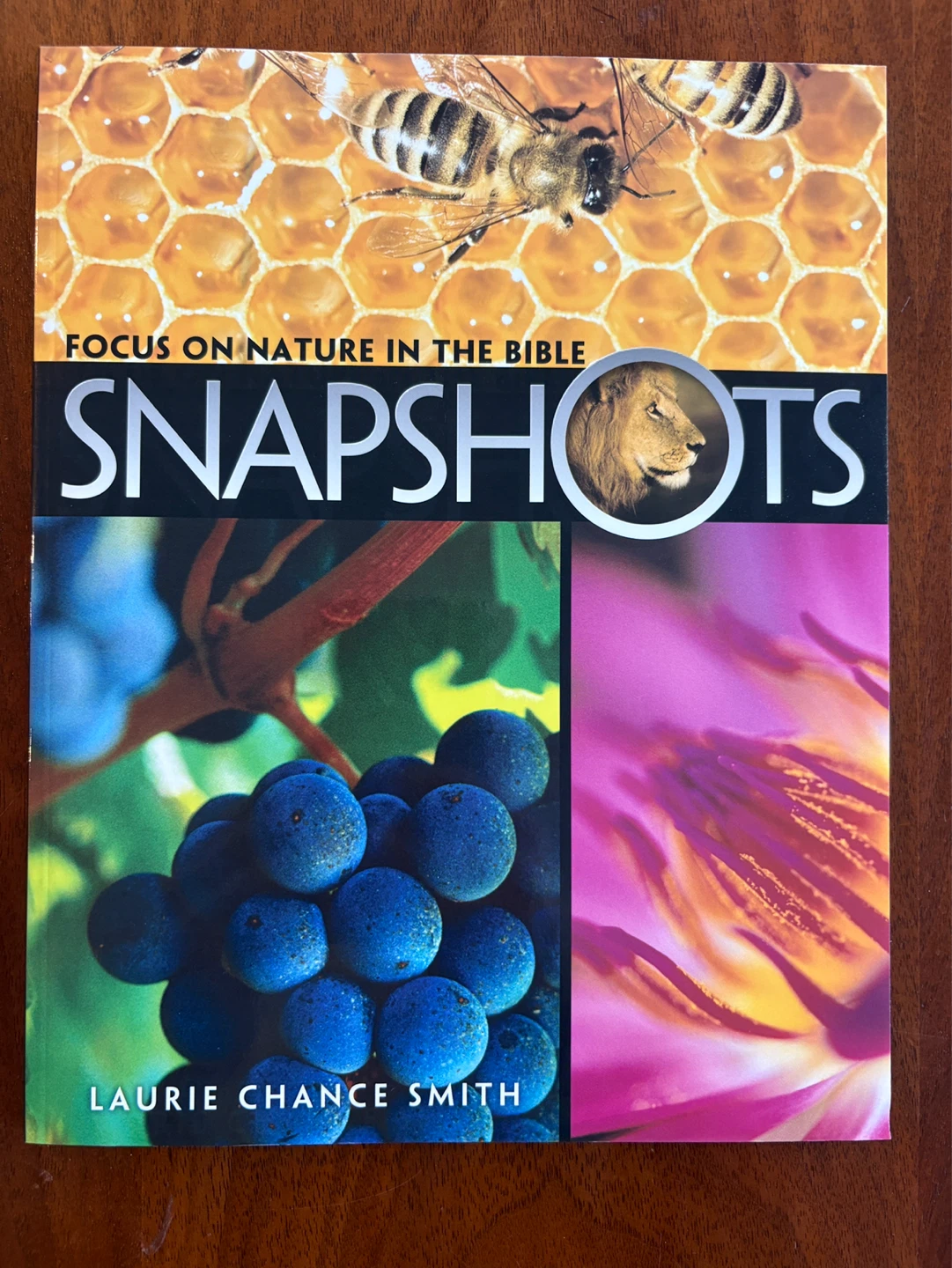 NEW Focus on Nature in the Bible Book