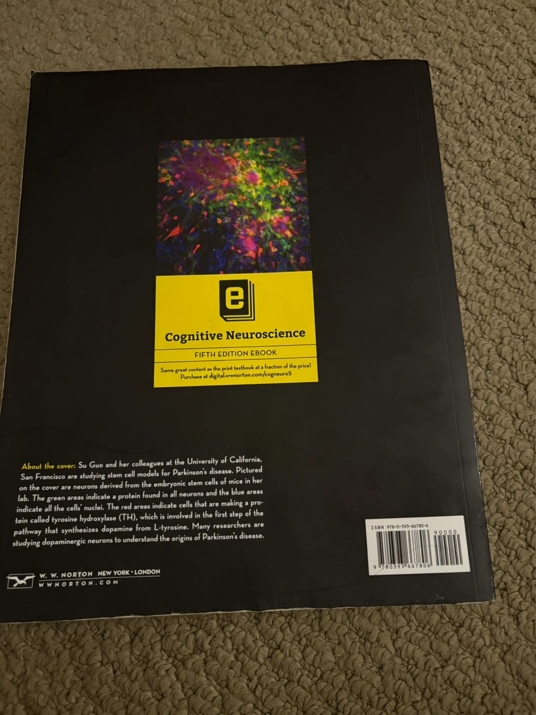 Cognitive Neuroscience textbook - photo 4