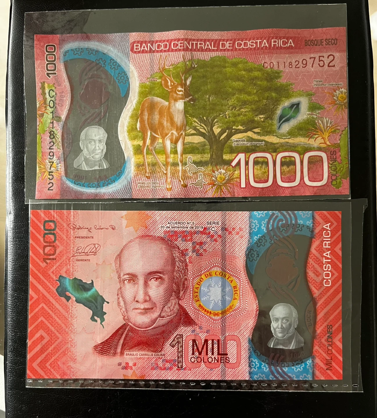 2 x 1000 Costa Rican Colones Banknotes - photo 2