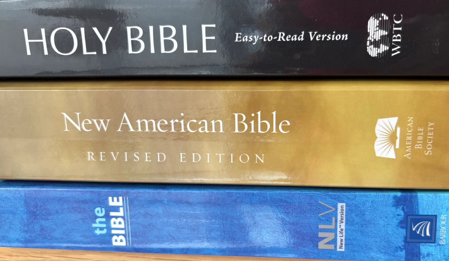 Bundle of 3 Never Opened Bibles: NAB, NLV, Easy to Read versions - photo 2