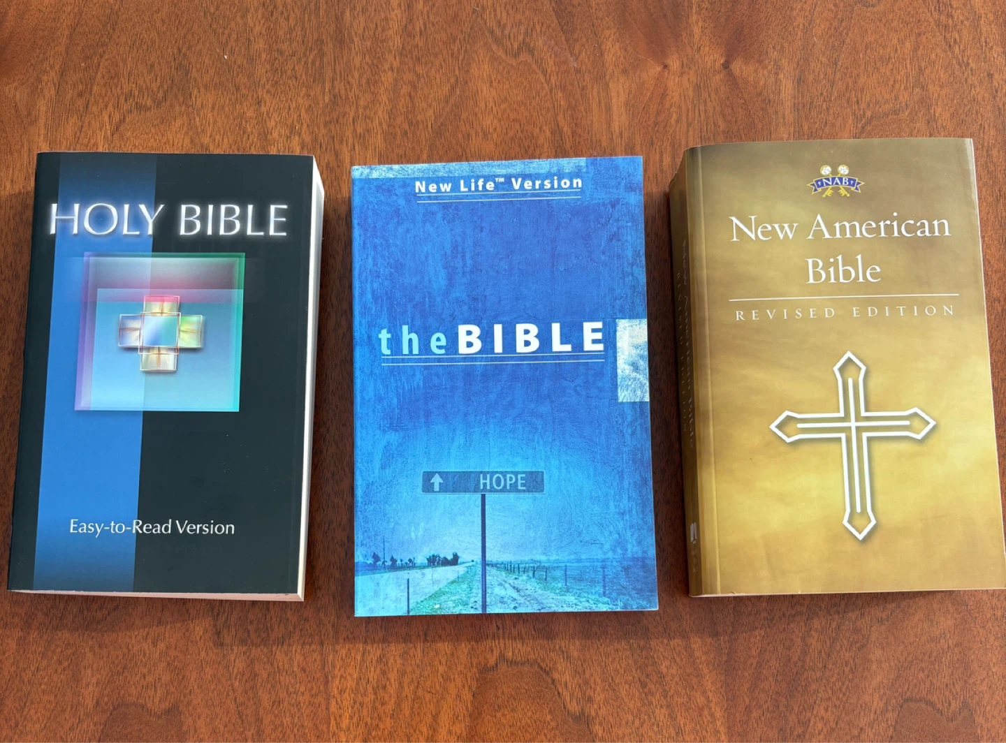 Bundle of 3 Never Opened Bibles: NAB, NLV, Easy to Read versions