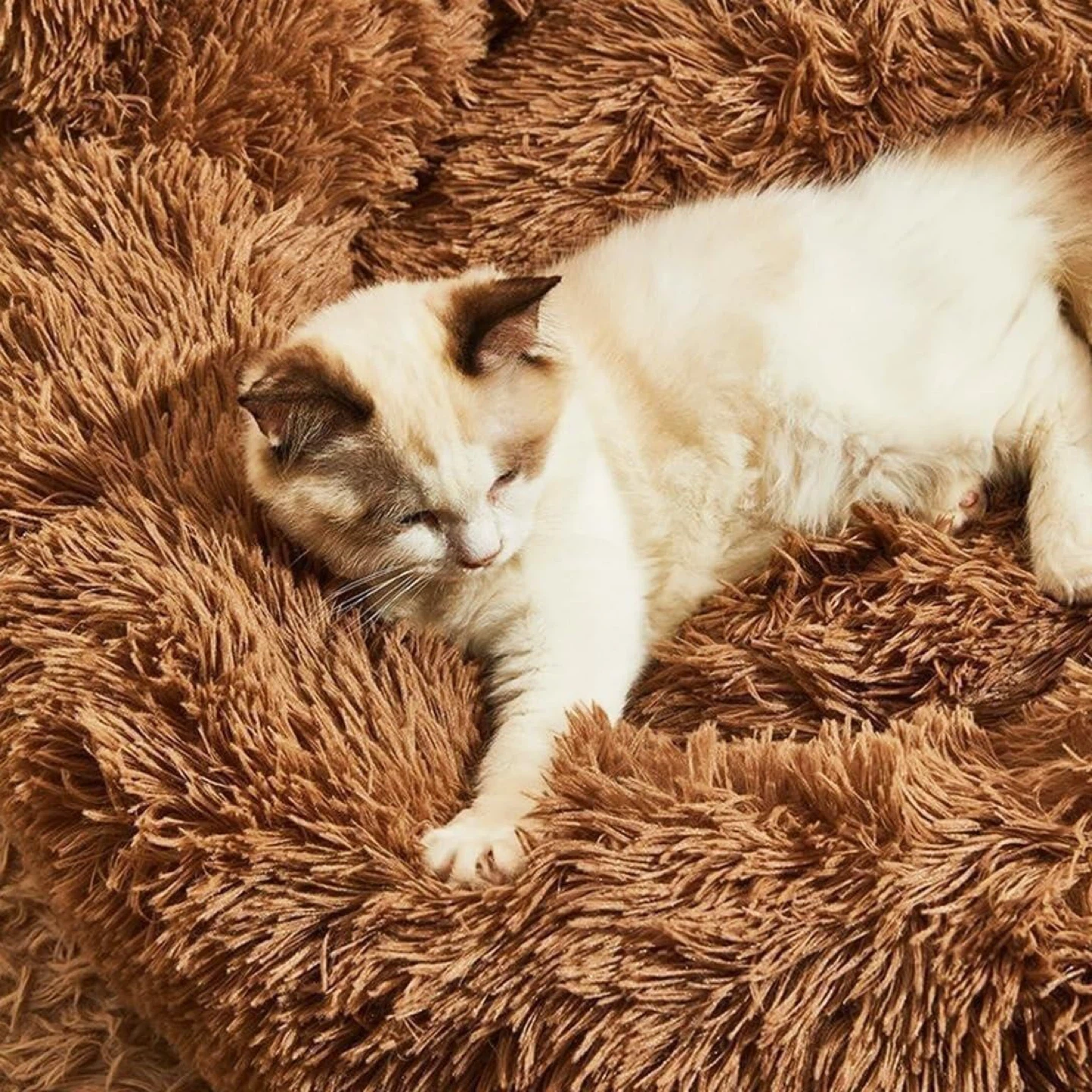 Brown Plush Paw Print Pet Bed - photo 3