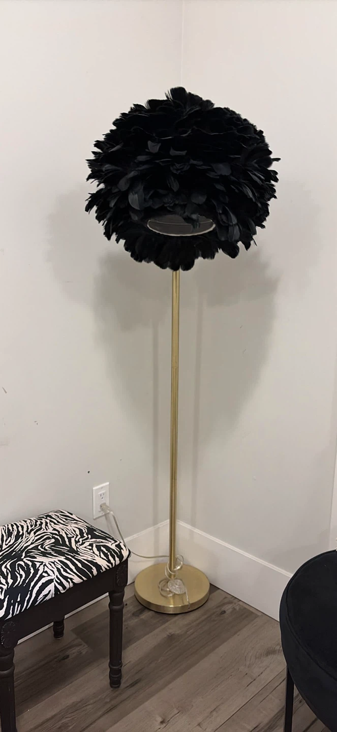 Black Feather Floor Lamp