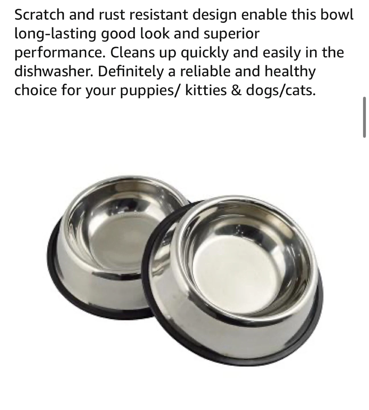 Set of 2 Stainless Steel Pet Bowls