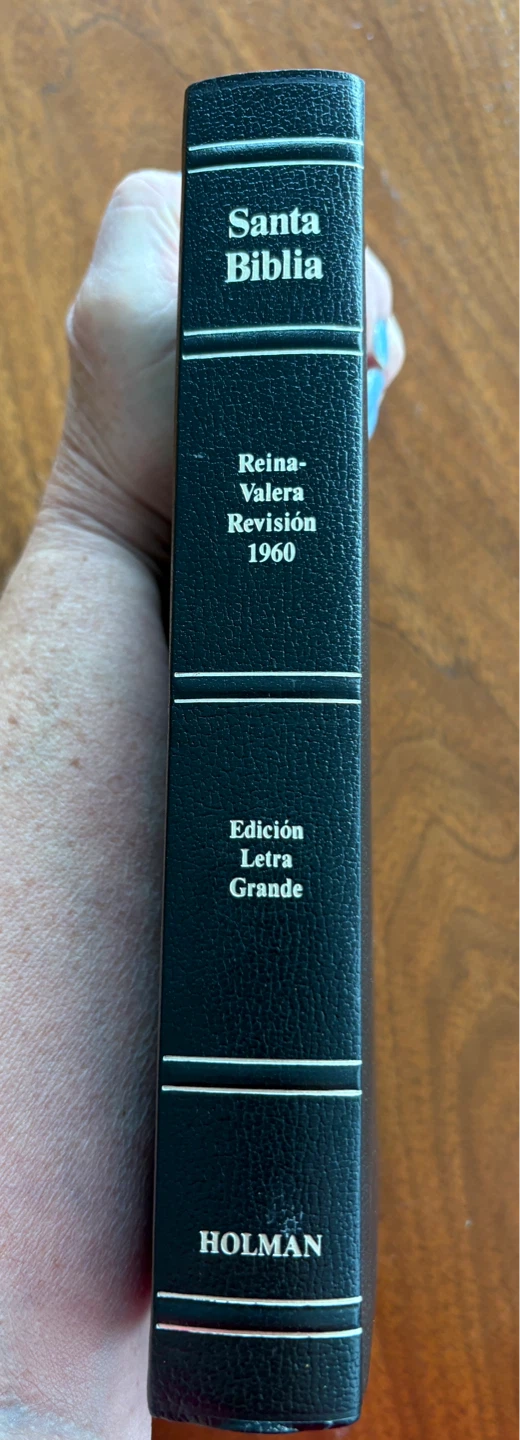NEW Leather Spanish Bible Reina-Valera Edición Letra Grande
