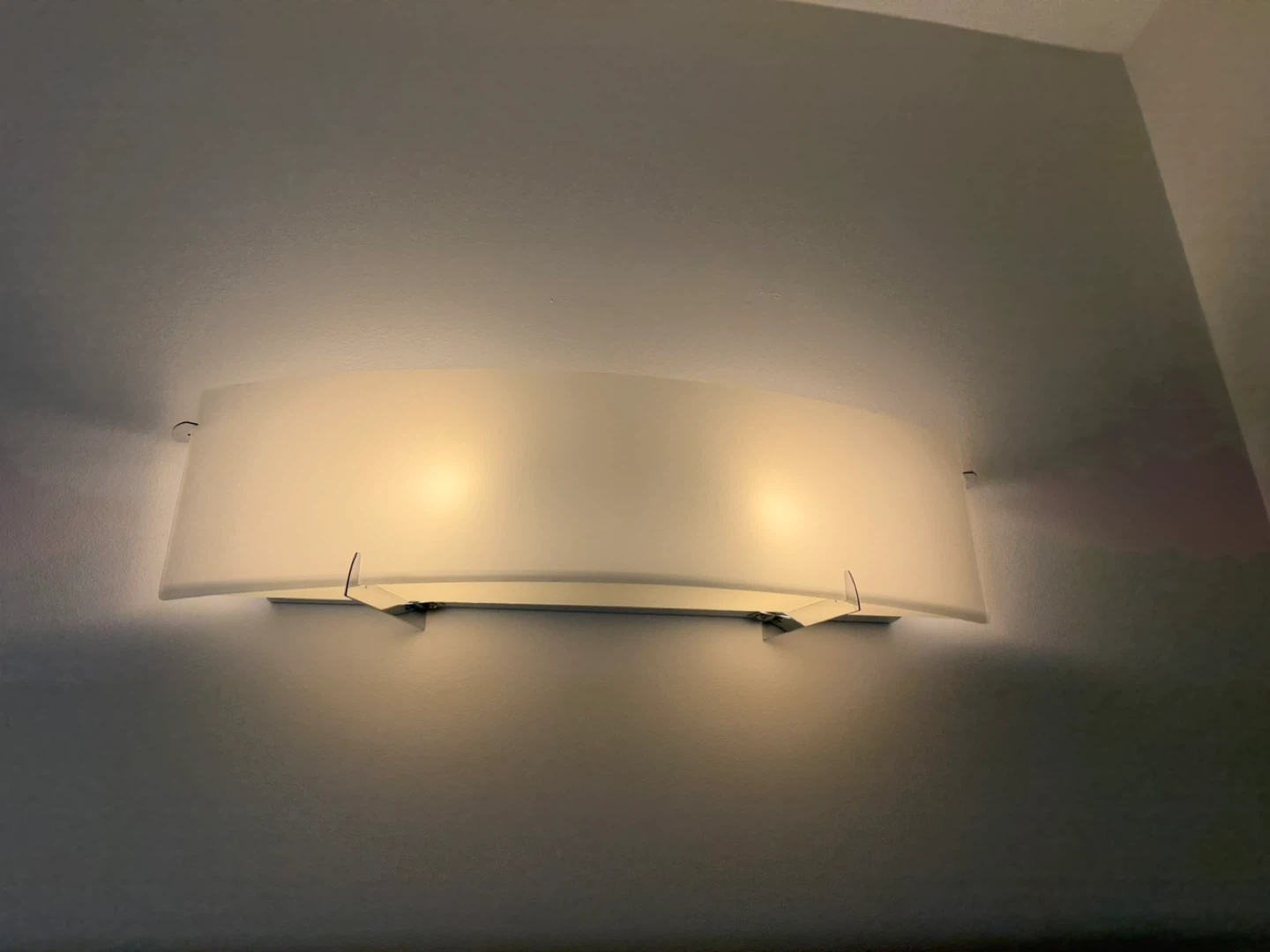 Modern Curved Frosted Glass Wall Sconce Light Fixture