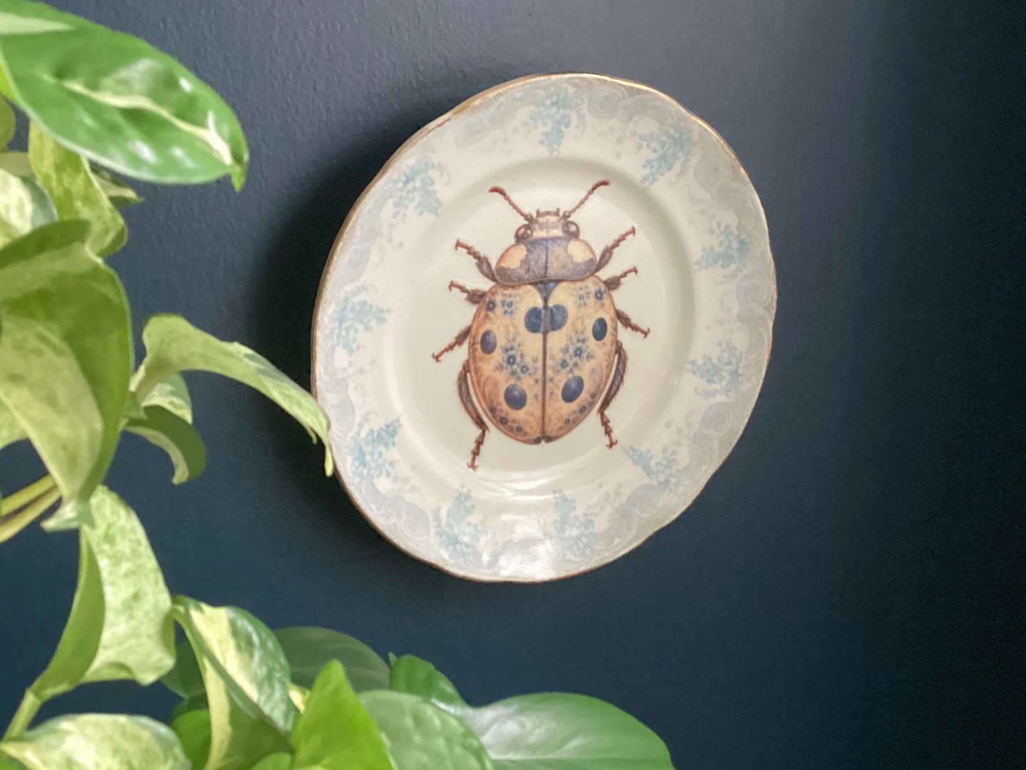 Handmade Decorative Plate with Beetle - photo 3