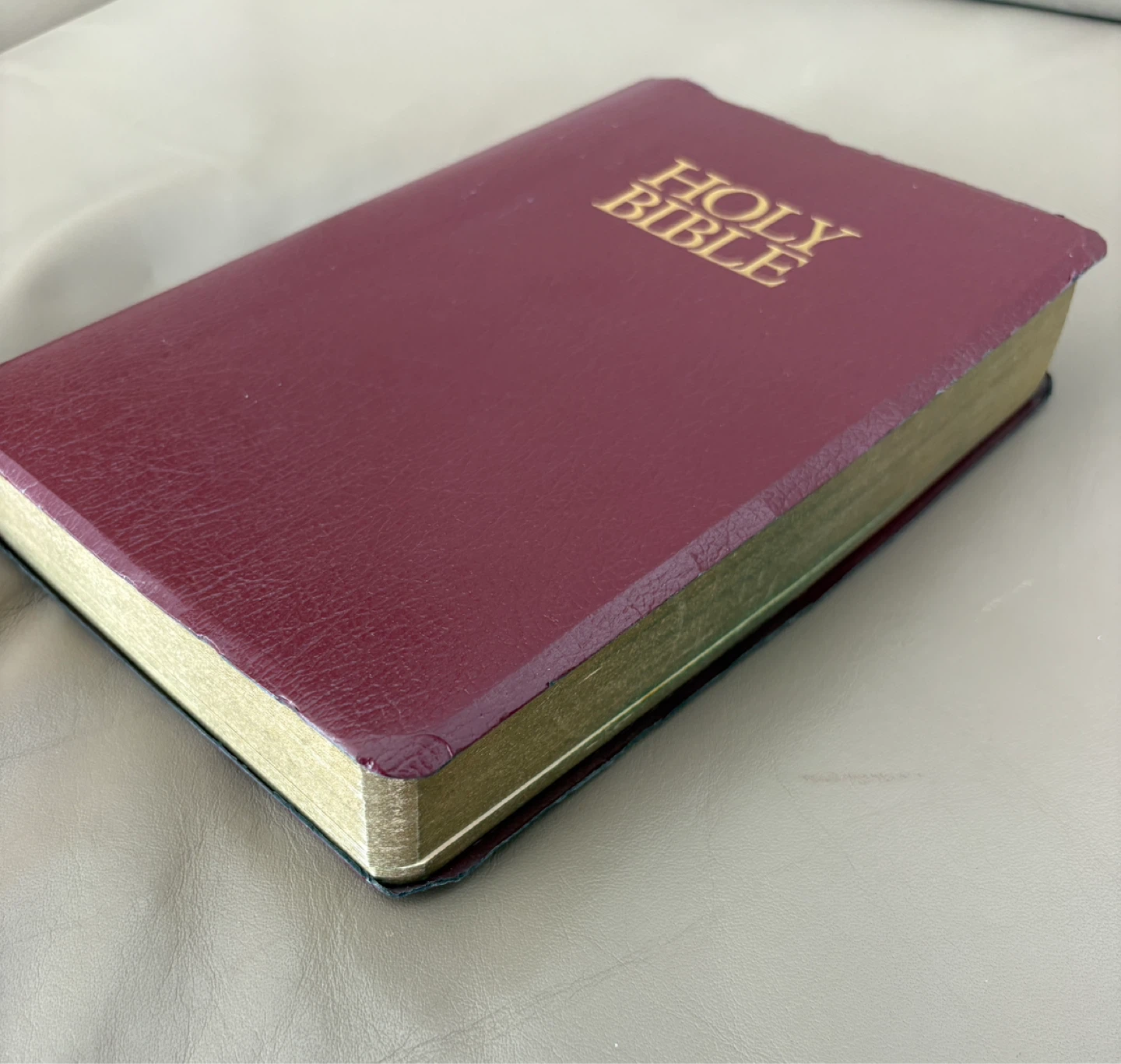 Zondervan Holy Bible NIV with Helps & Red Letter - photo 2