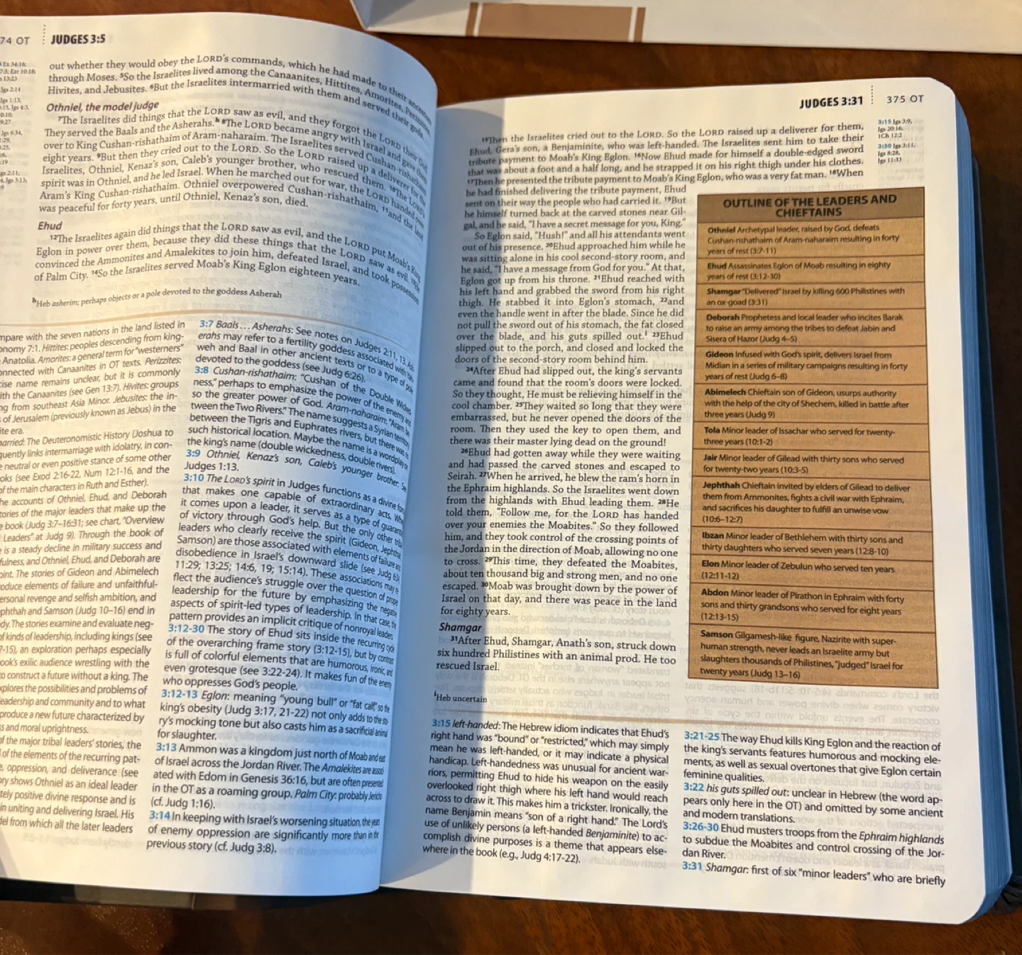 NEW Boxed Leather CEB Study Bible - photo 4