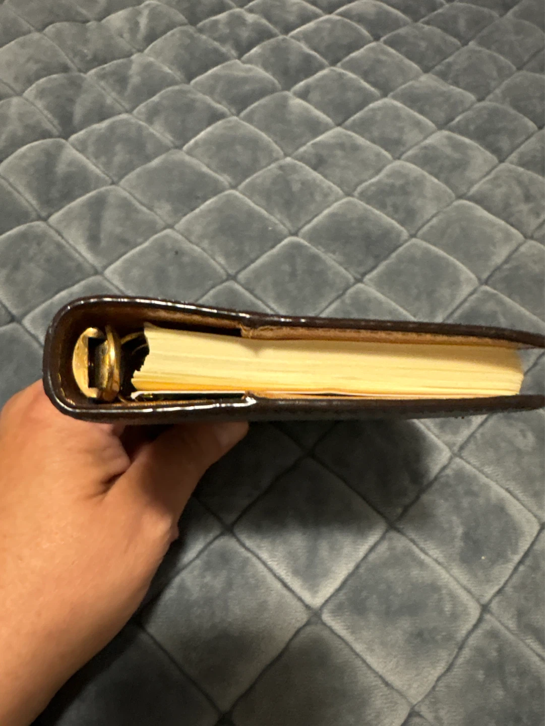 Louis Vuitton Address Book - photo 4