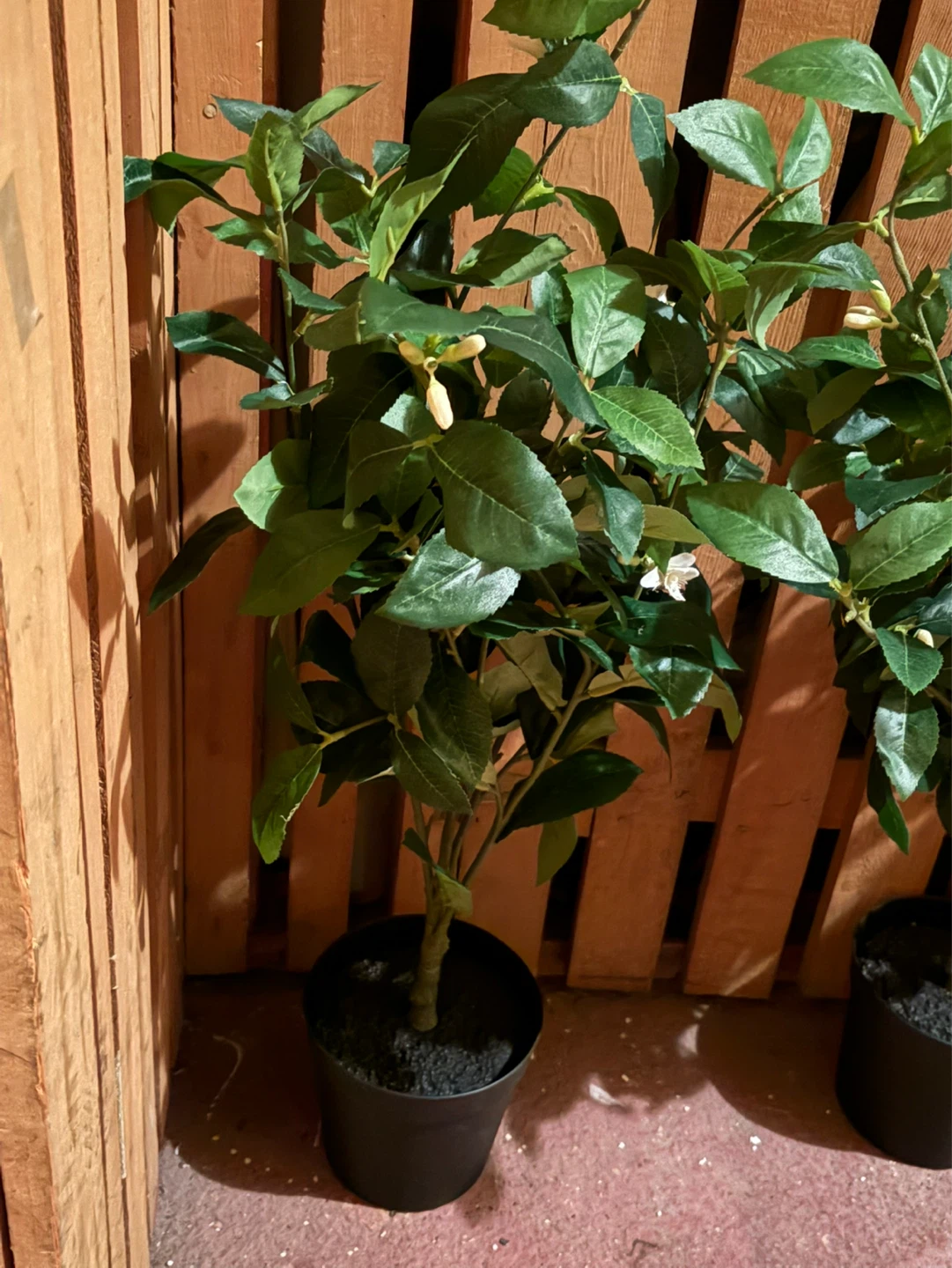 Artificial Lemon Tree Plant