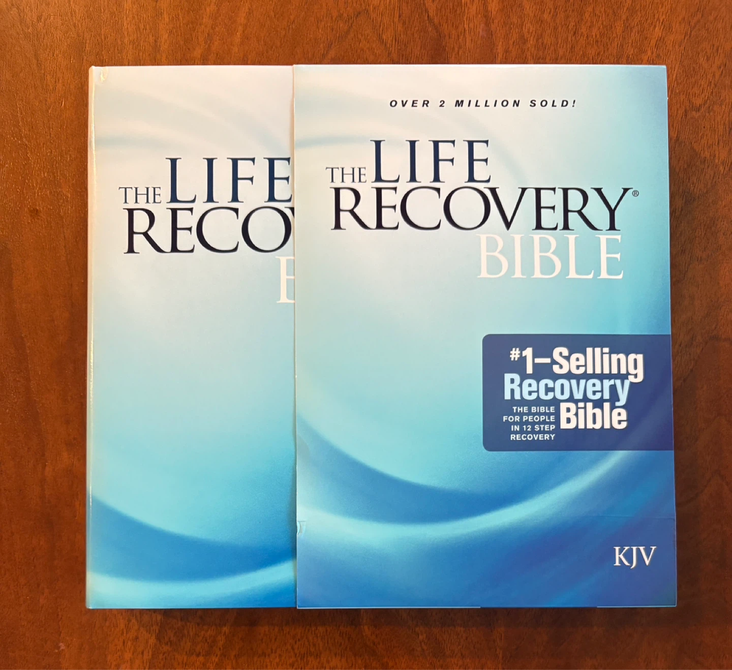 NEW Life Recovery Bible - KJV