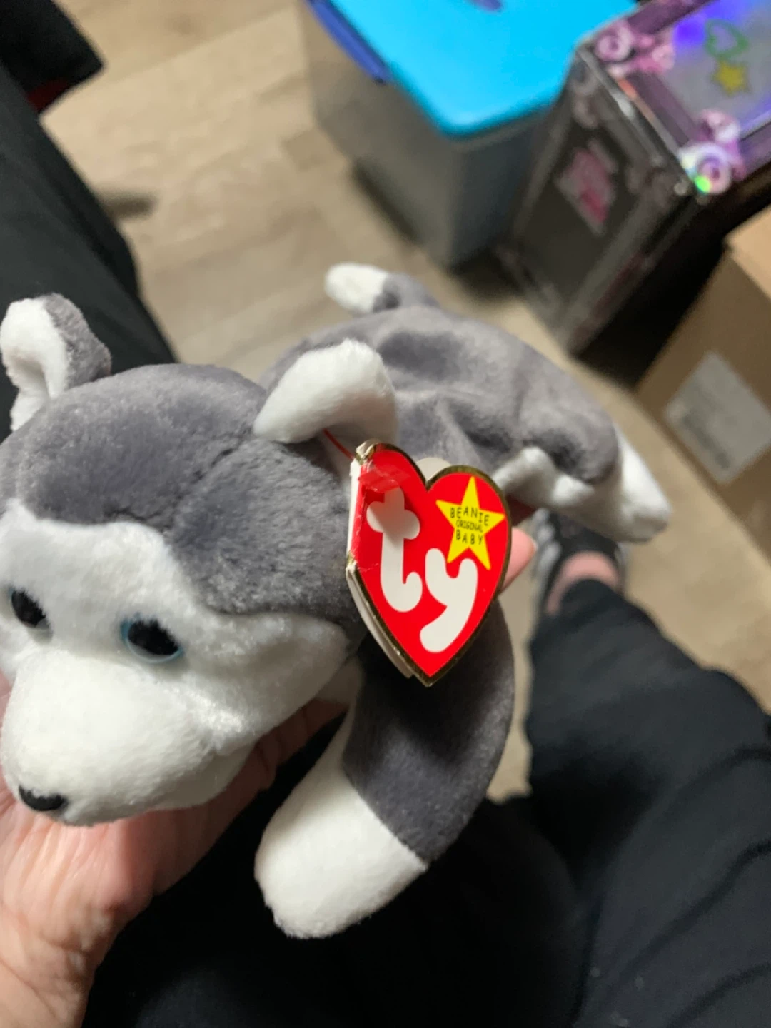 $10 each beanie babies