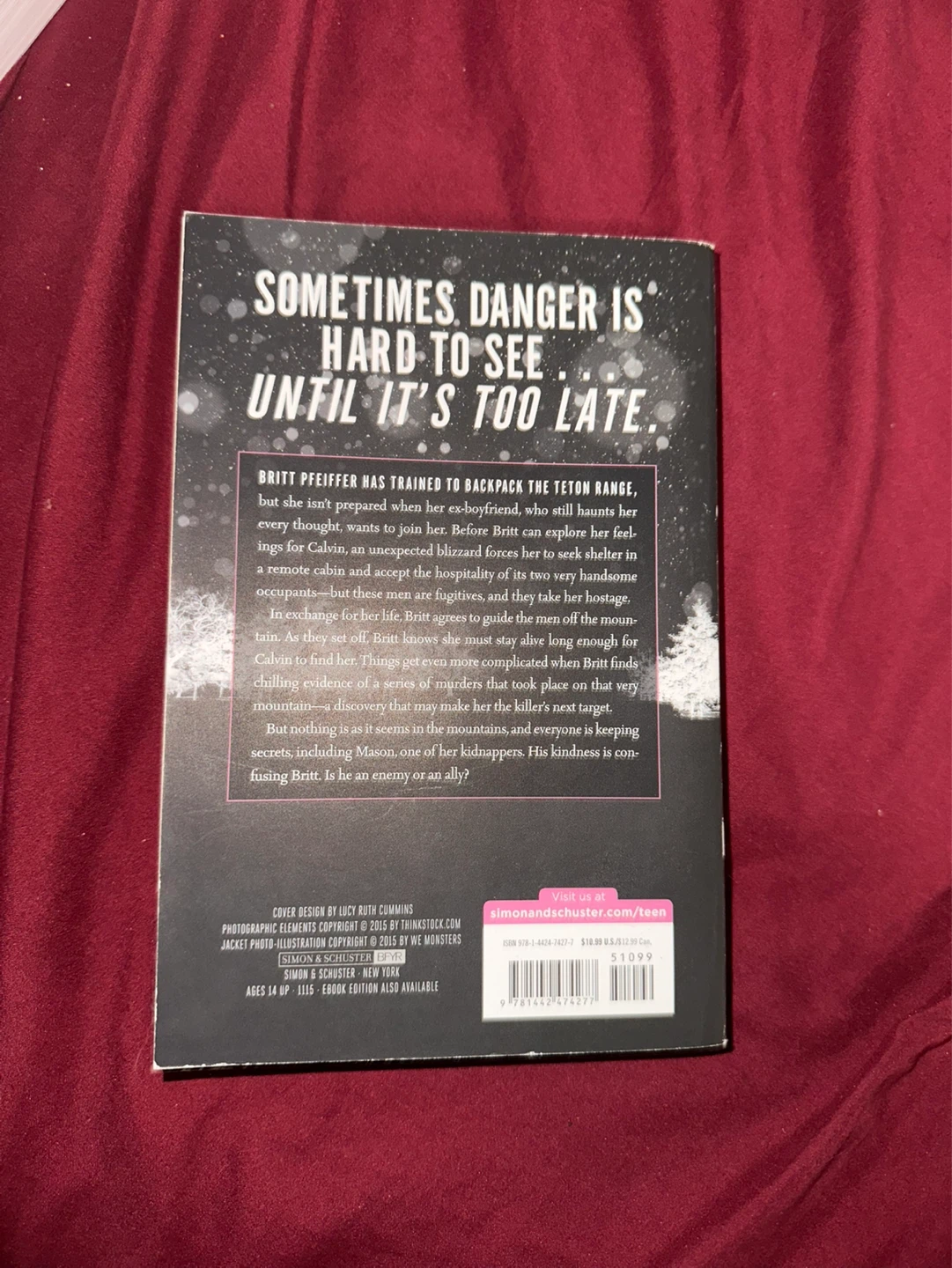 Black Ice by Becca Fitzpatrick Paperback Book - photo 2