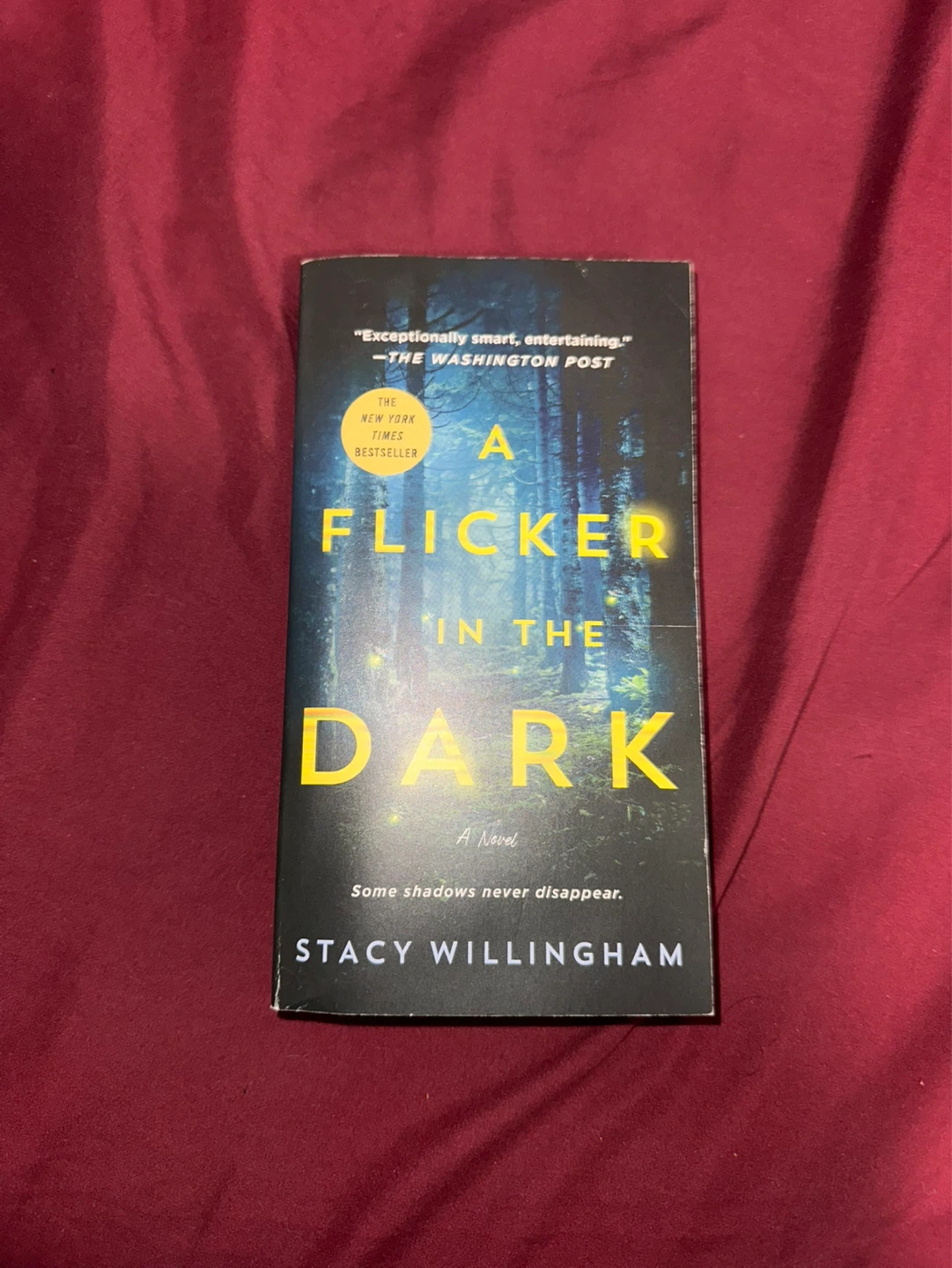 A Flicker in the Dark Novel by Stacy Willingham