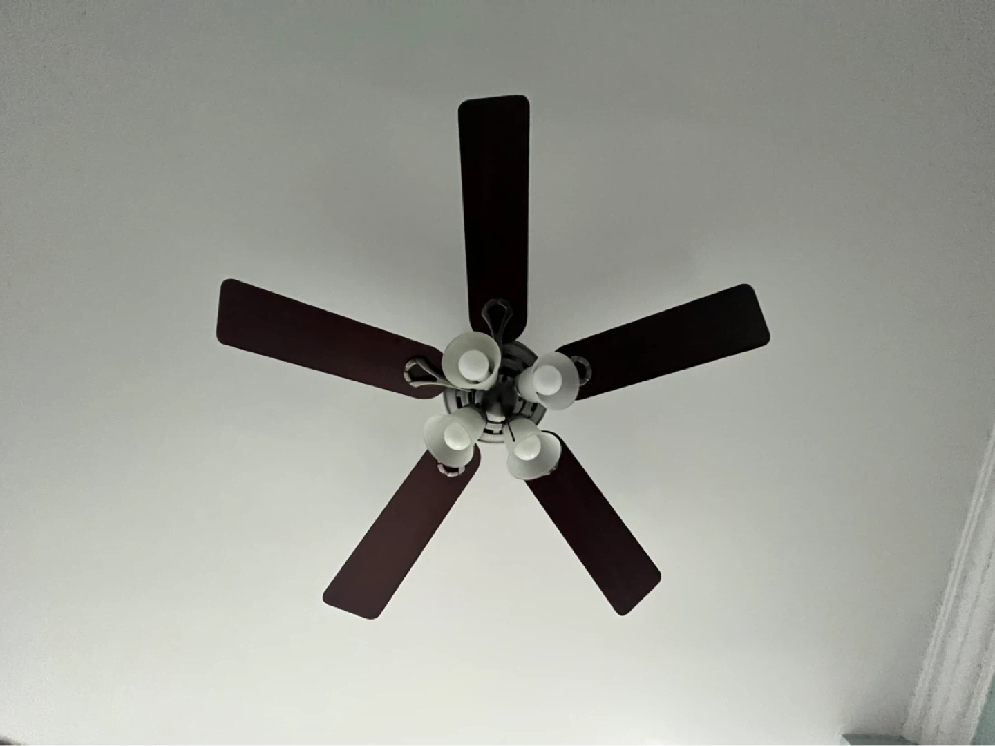 Hunter Ceiling Fan with Lights