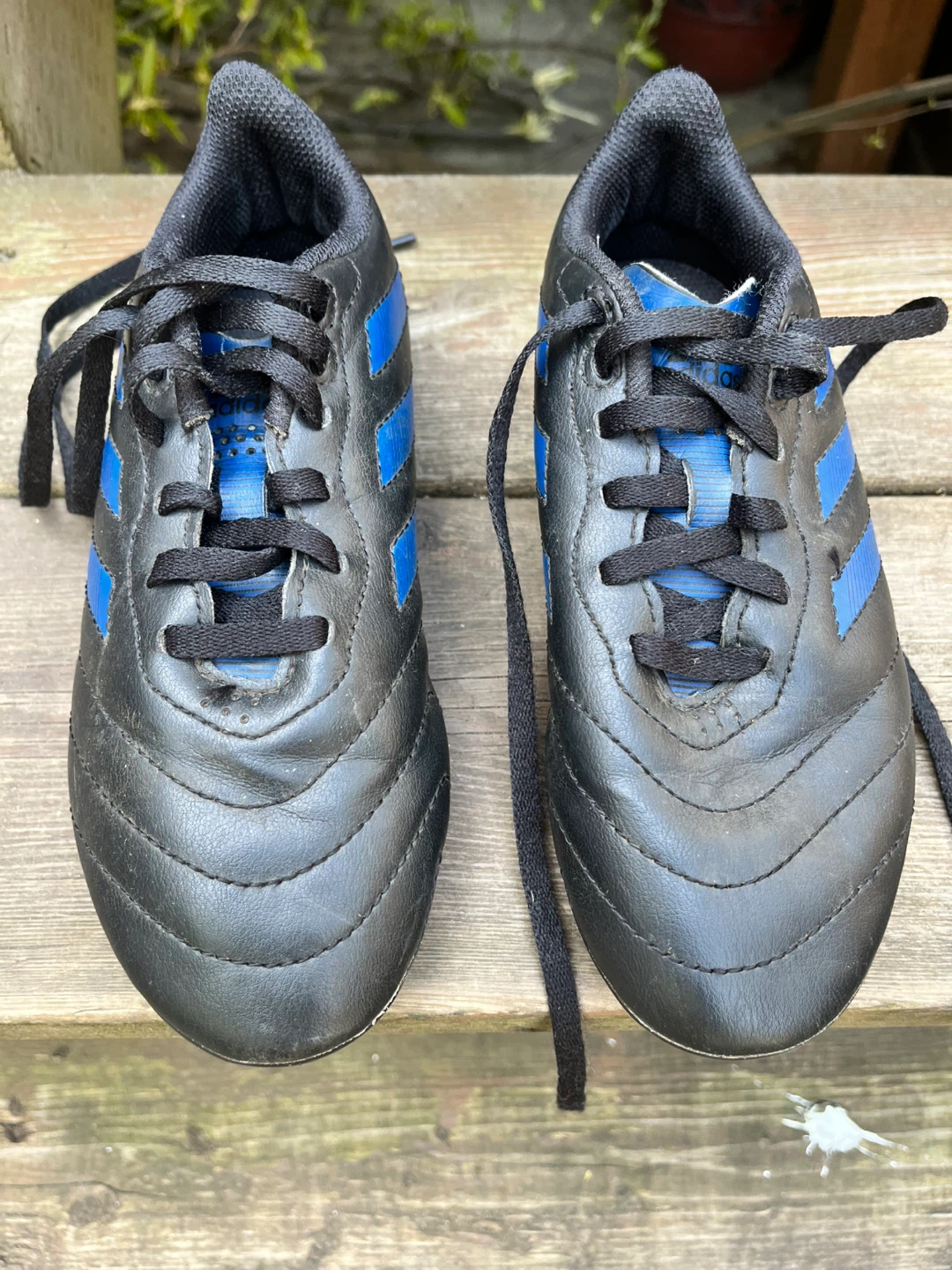 Adidas Soccer Cleats - Black and Blue