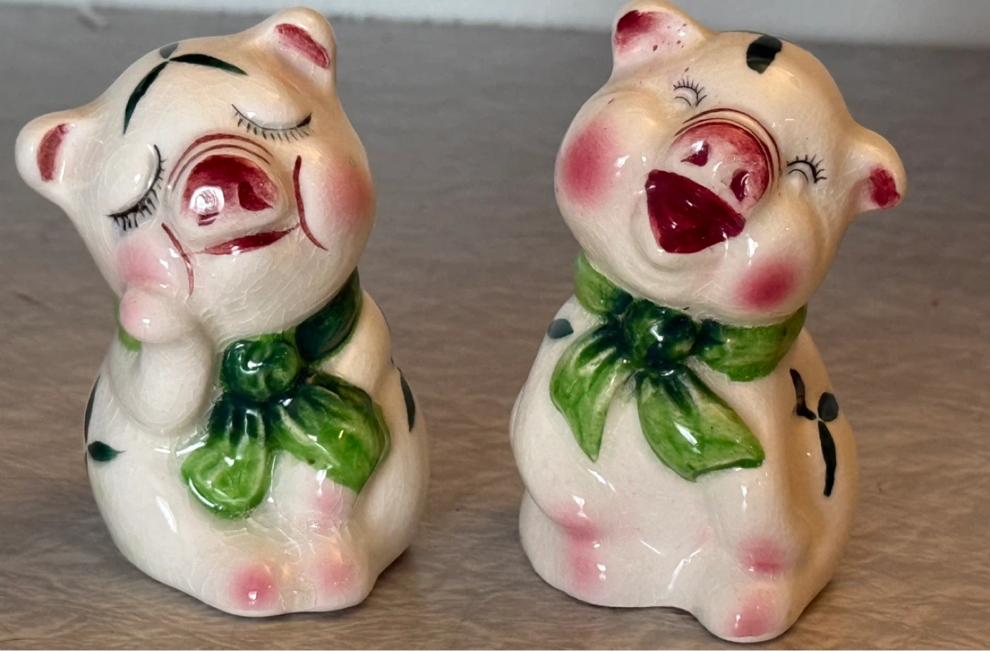 Vintage Pig Pair with Floral Design Salt and Pepper Set
