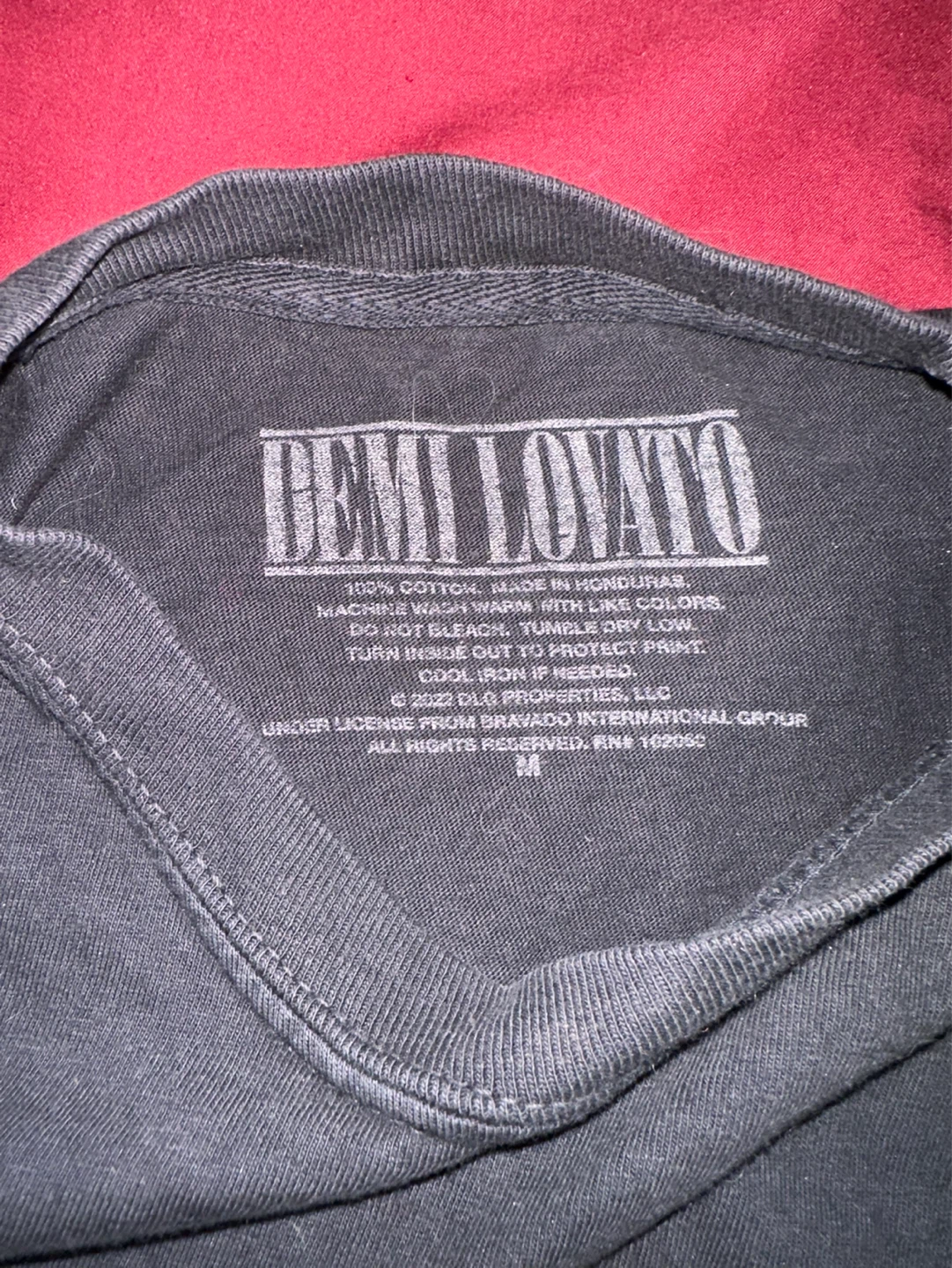 Demi Lovato Holy Fvck Cropped T-Shirt - photo 3