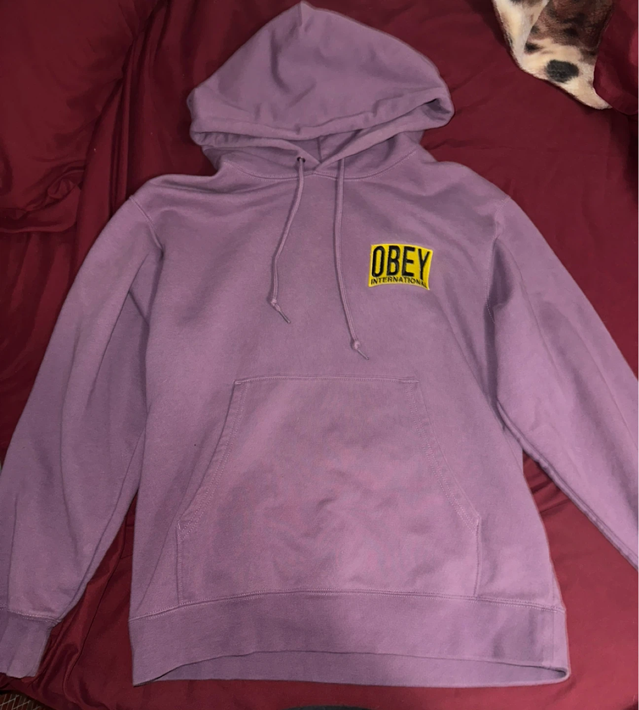 OBEY Worldwide Purple Hoodie - Size M