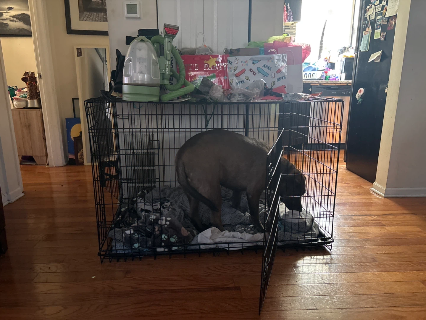 Large Dog Crate with Bedding