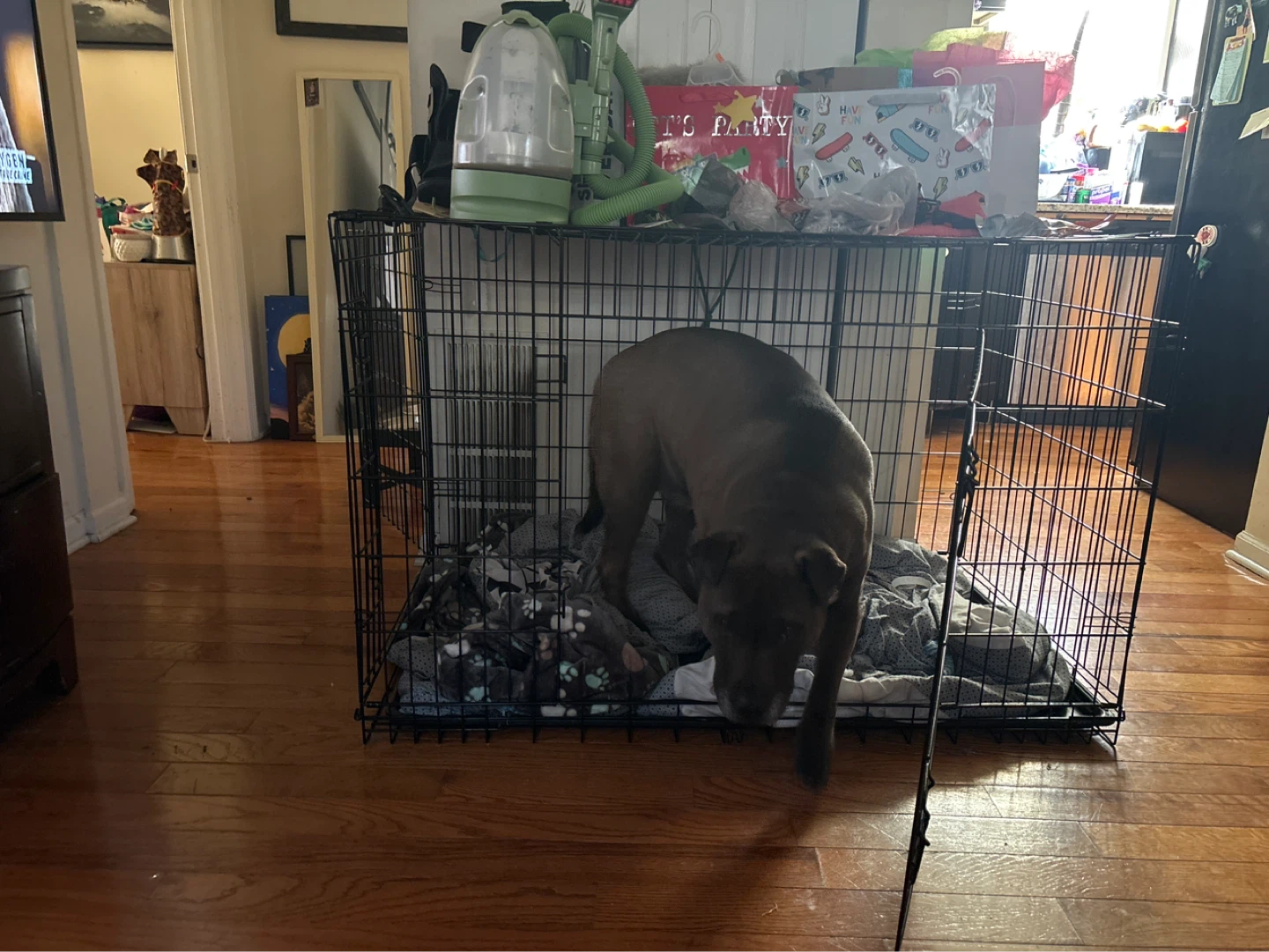 Large Dog Crate with Bedding - photo 2