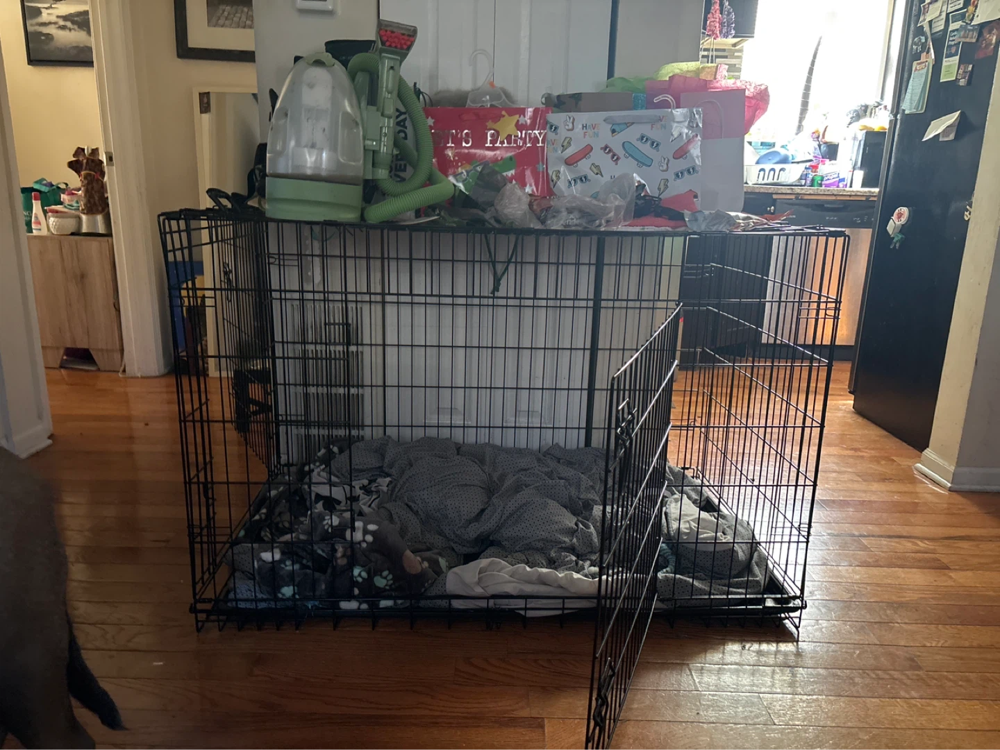 Large Dog Crate with Bedding - photo 3