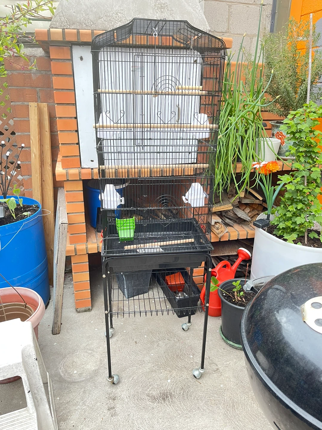 Black Bird Cage with Stand