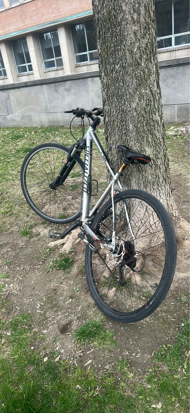 Specialized Hybrid Bike - photo 2