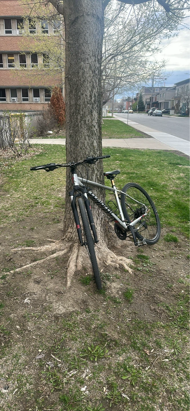 Specialized Hybrid Bike - photo 3