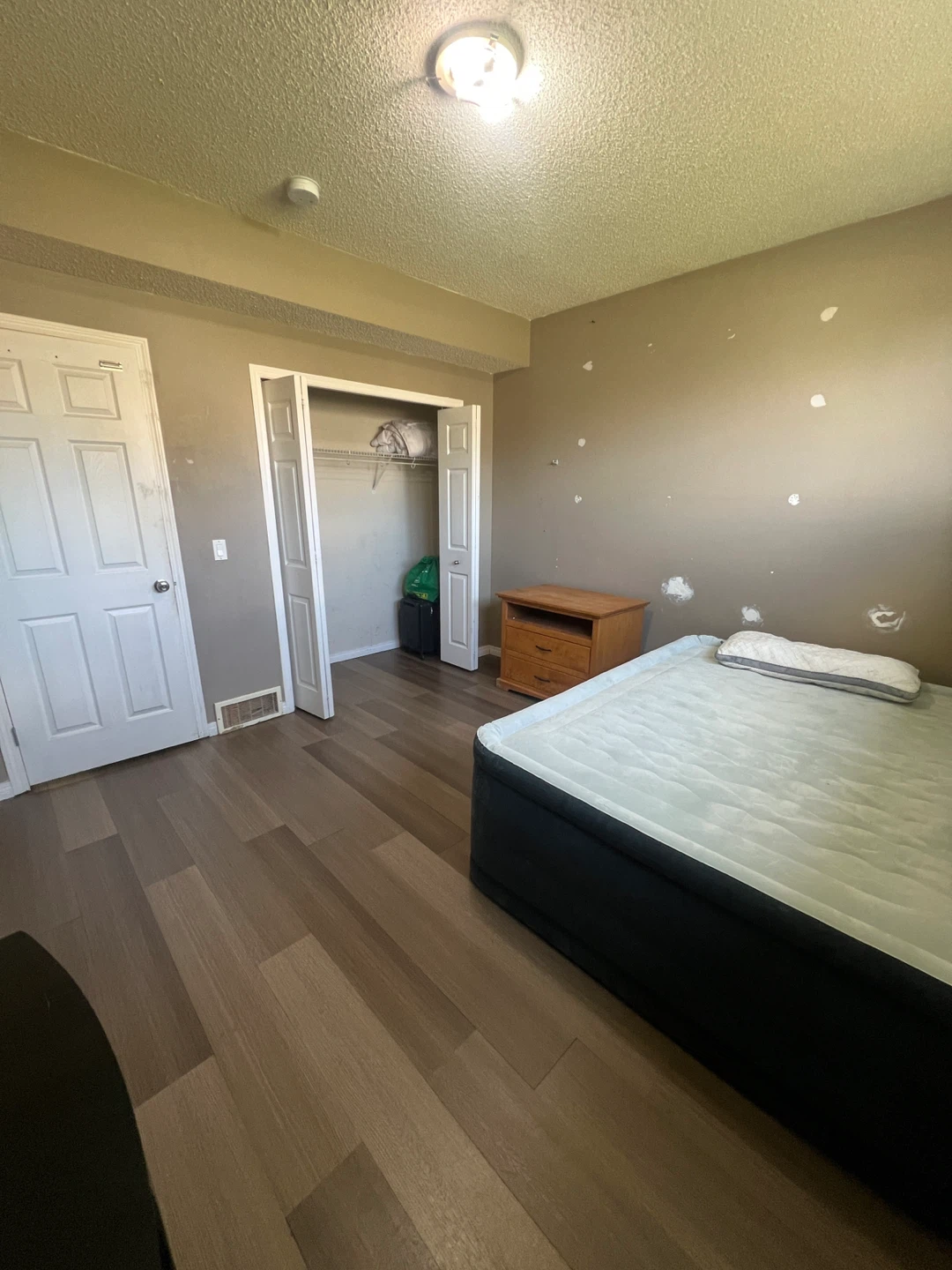🏡 Big Private Master Bedroom for rent - photo 3