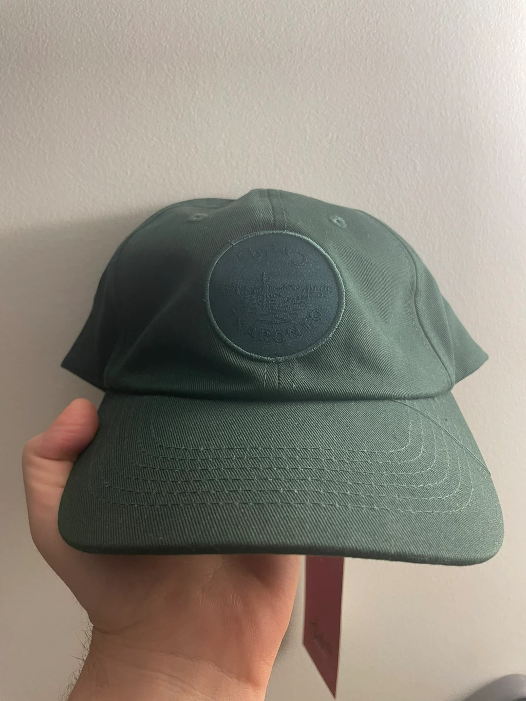 Aaniin Tkaronto Cap - Cedar