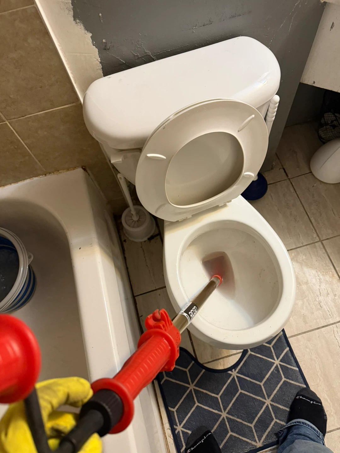 Snake toilet