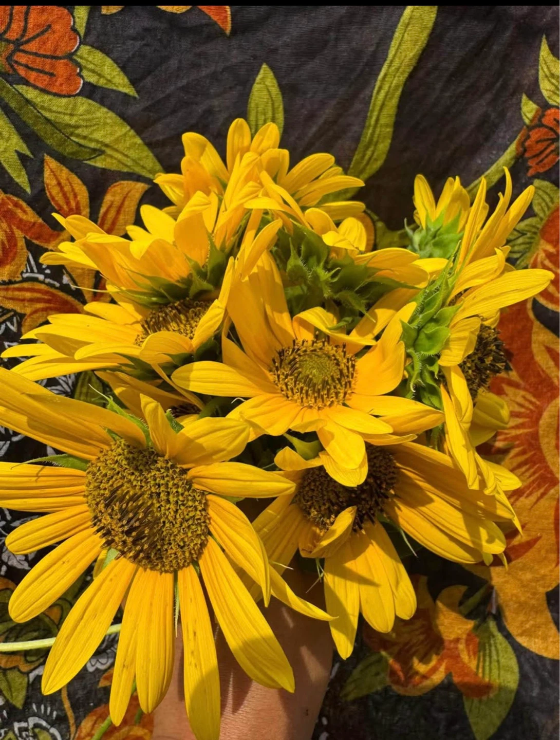 Fresh Sunflowers and Basil Plants $2each plant - photo 2