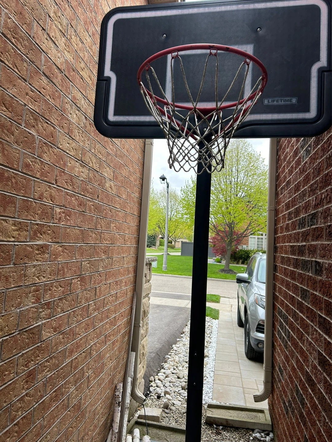 Lifetime Portable Basketball Hoop
