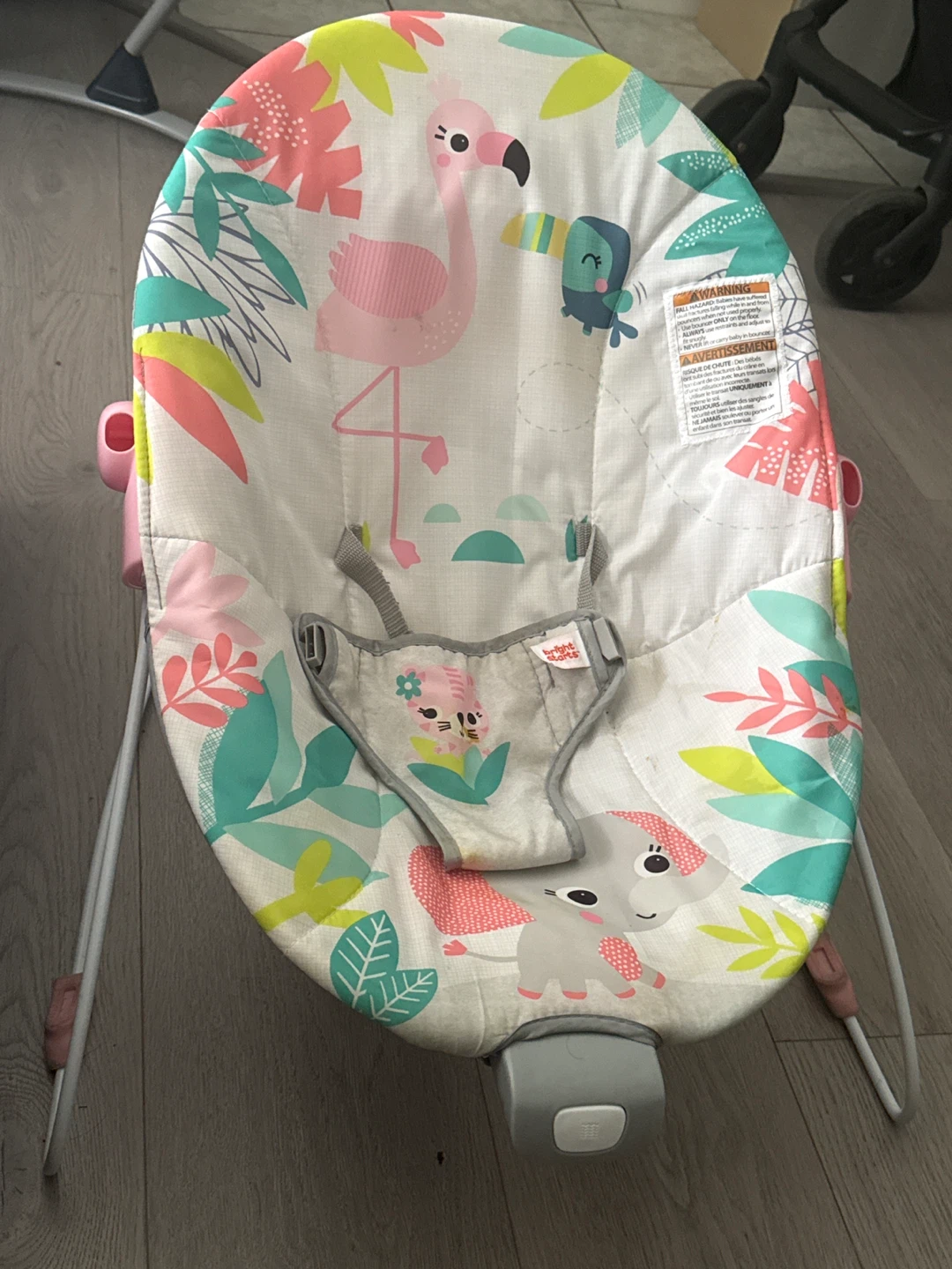 Bright Starts Baby Bouncer