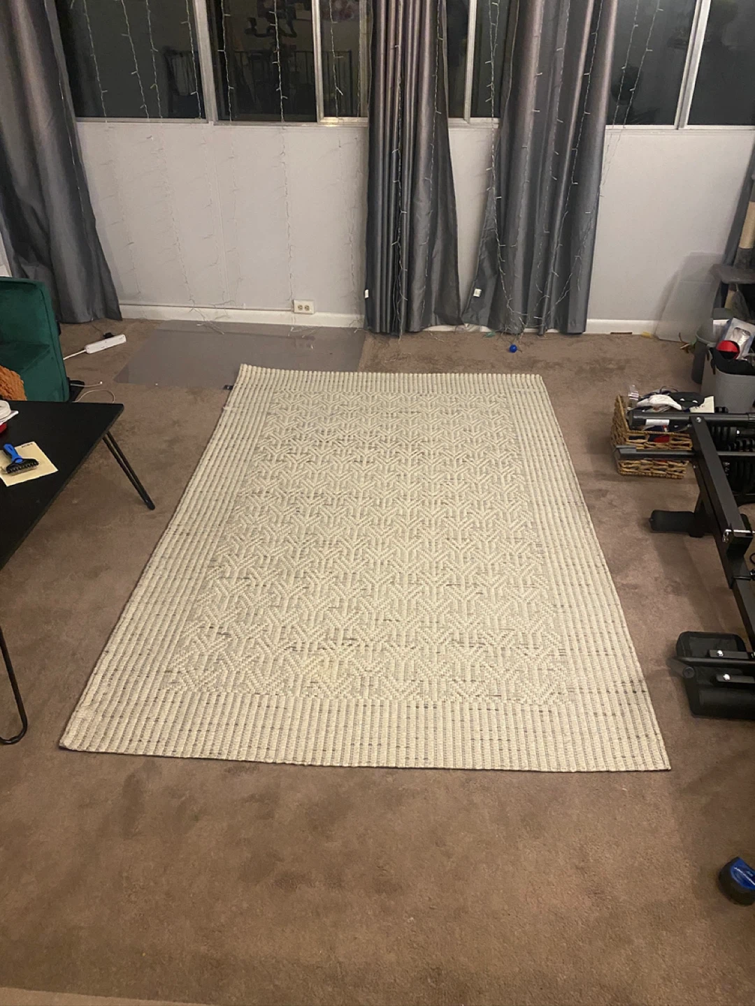 Area Rug HAS TO GO