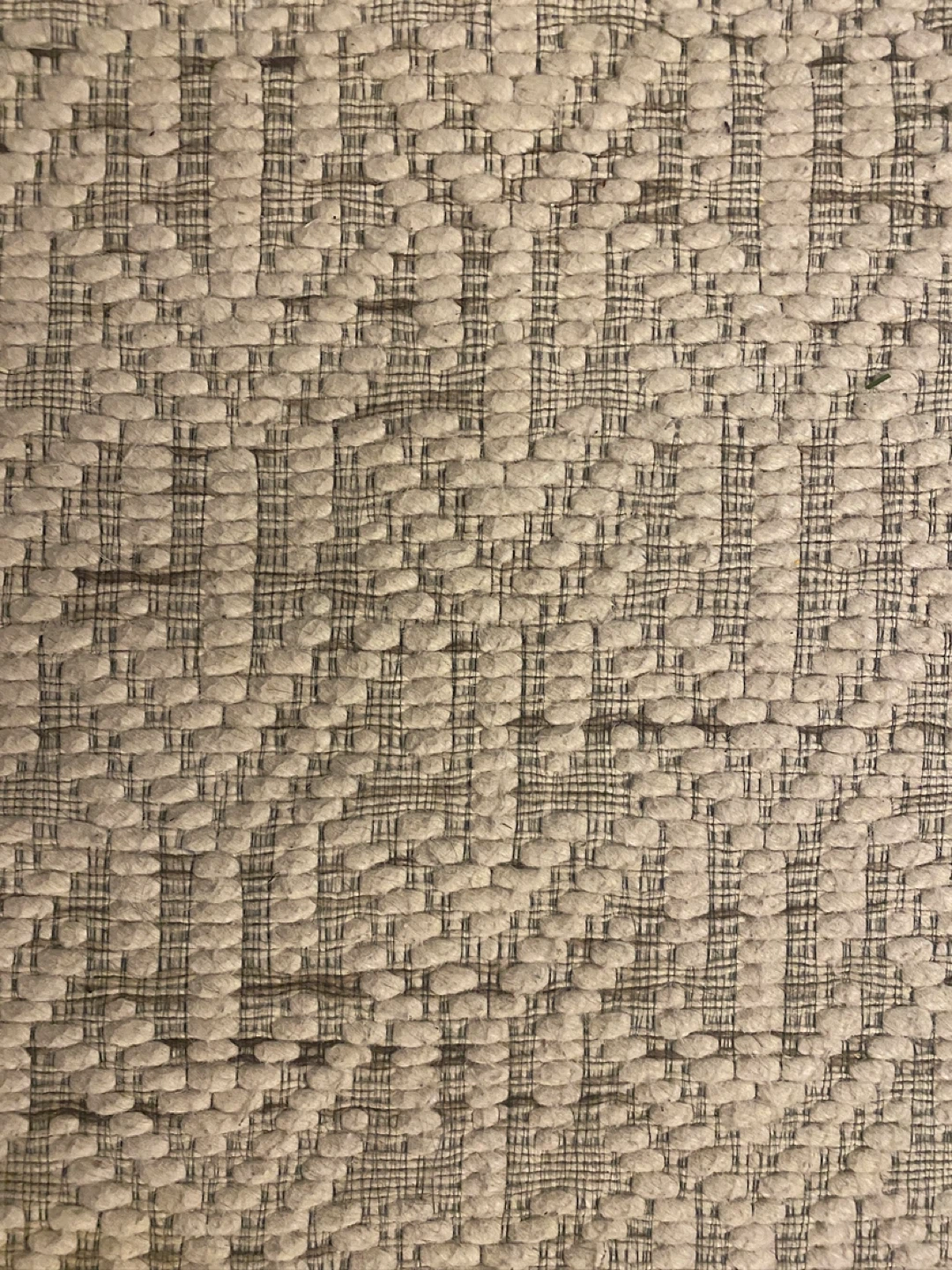 Area Rug HAS TO GO - photo 3