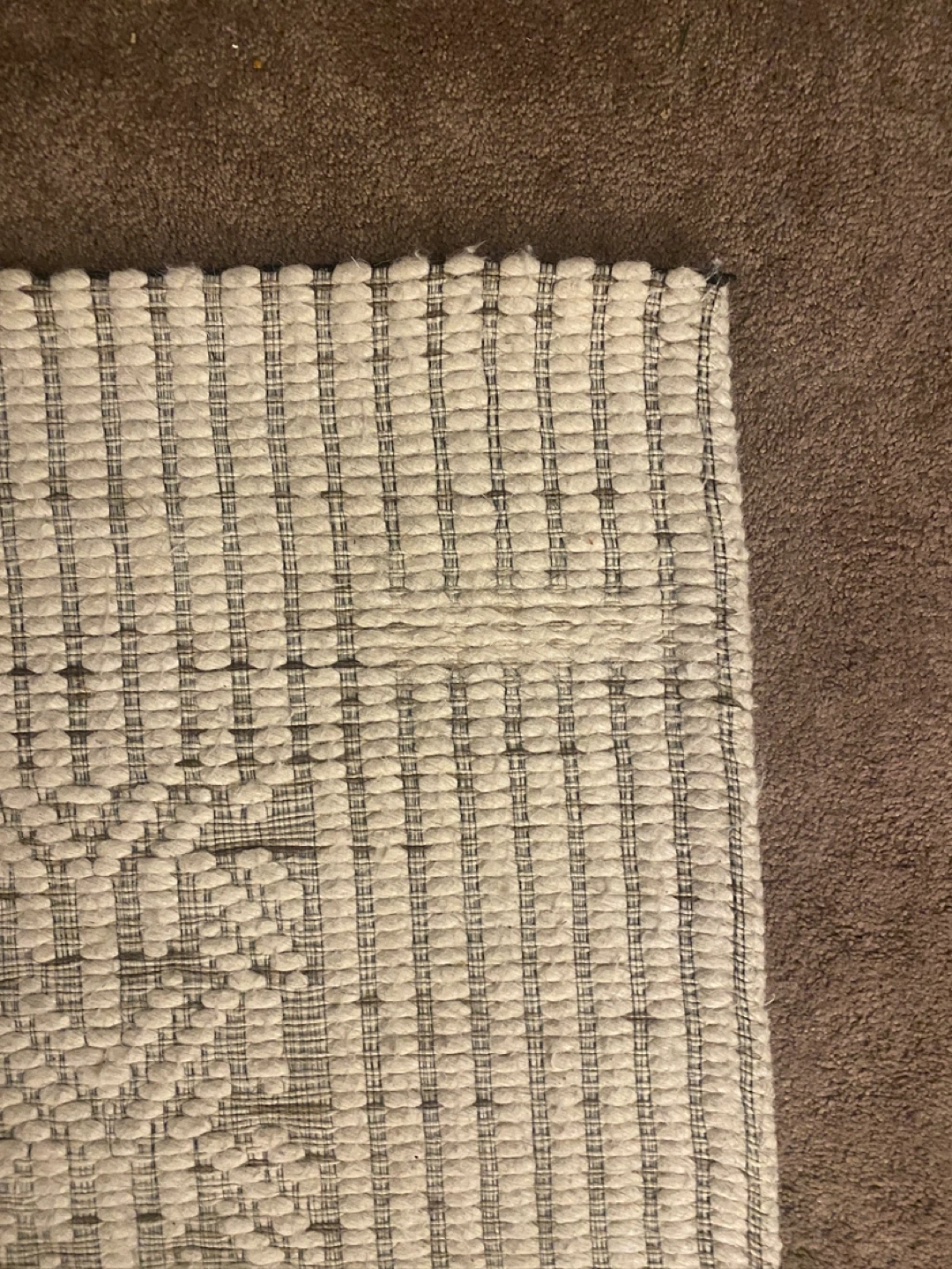 Area Rug HAS TO GO - photo 2