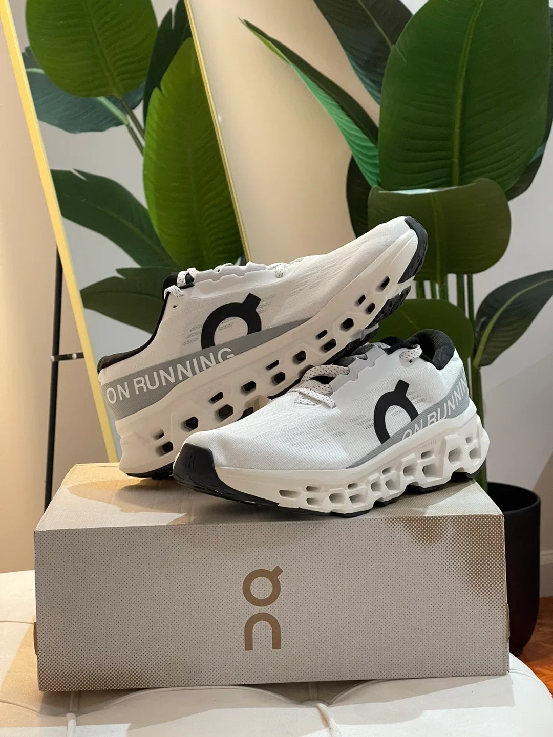 On Running Cloudmonster 3 Shoes