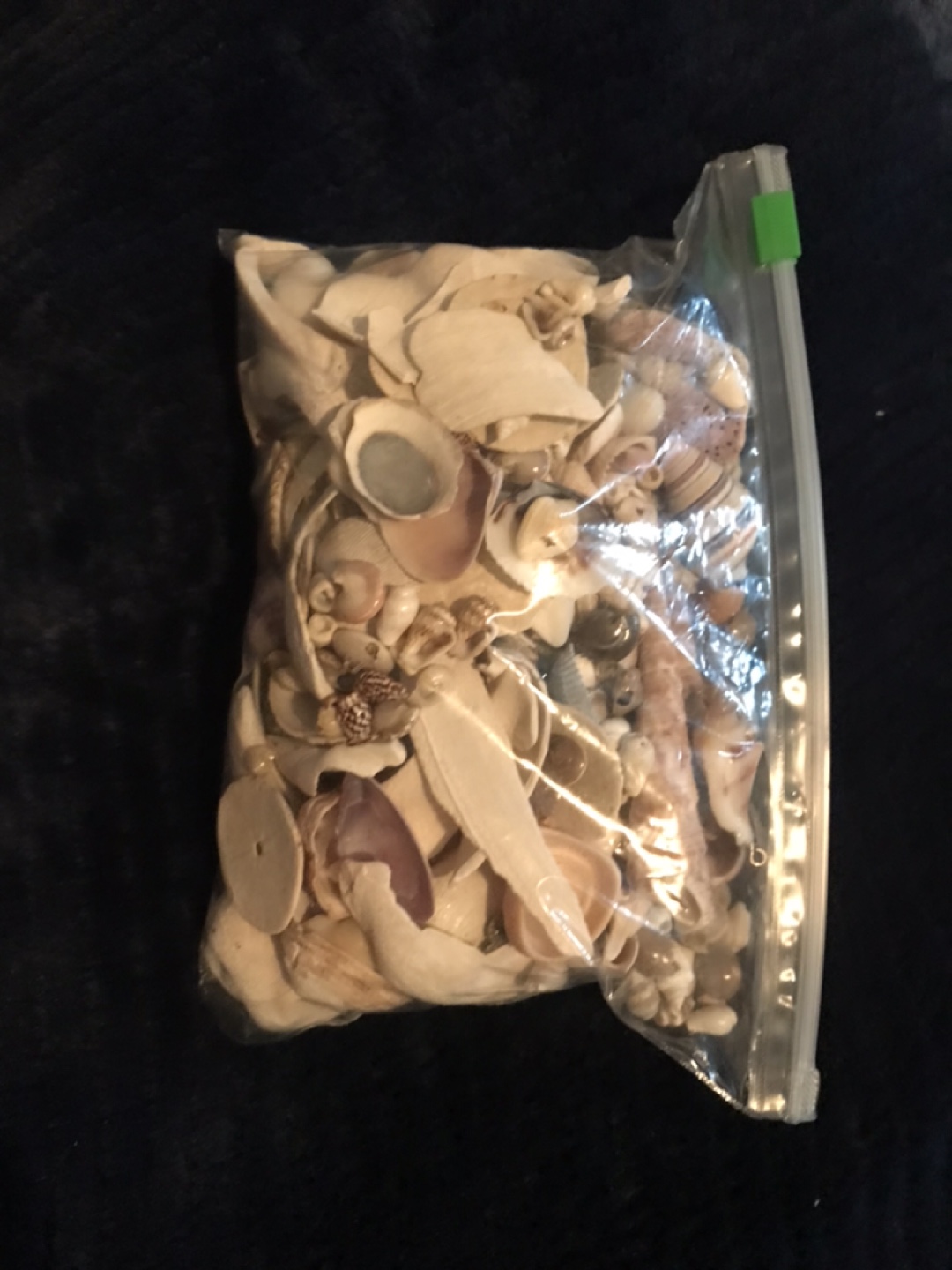 Bag of assorted seashells